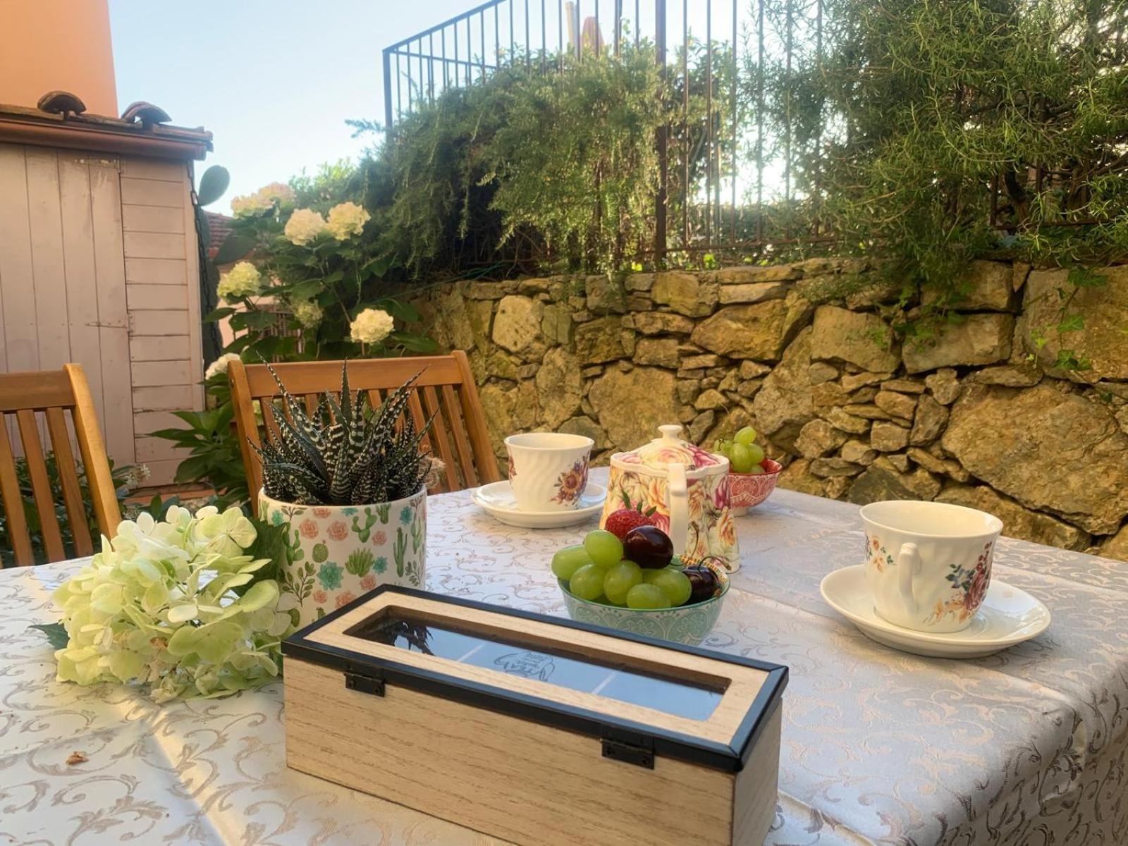 Il Grillo sull'Olivo photo 4