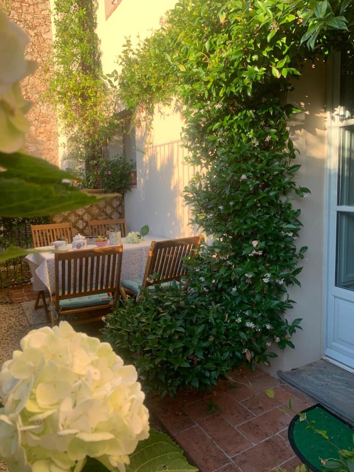 Il Grillo sull'Olivo photo 5