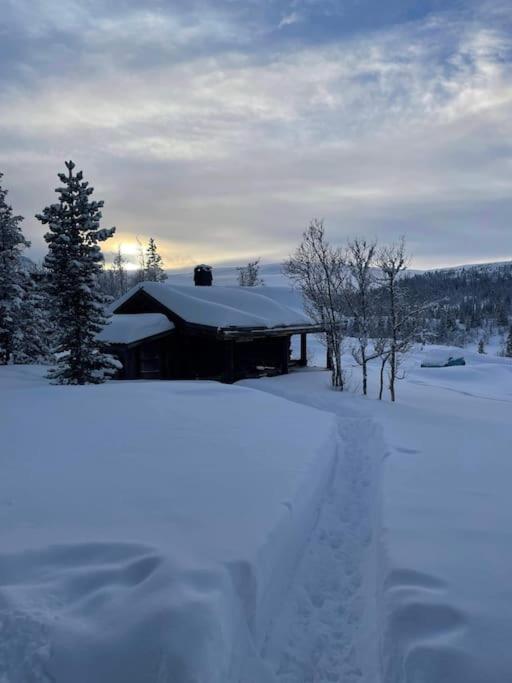 Åsbøseterdalen view 2