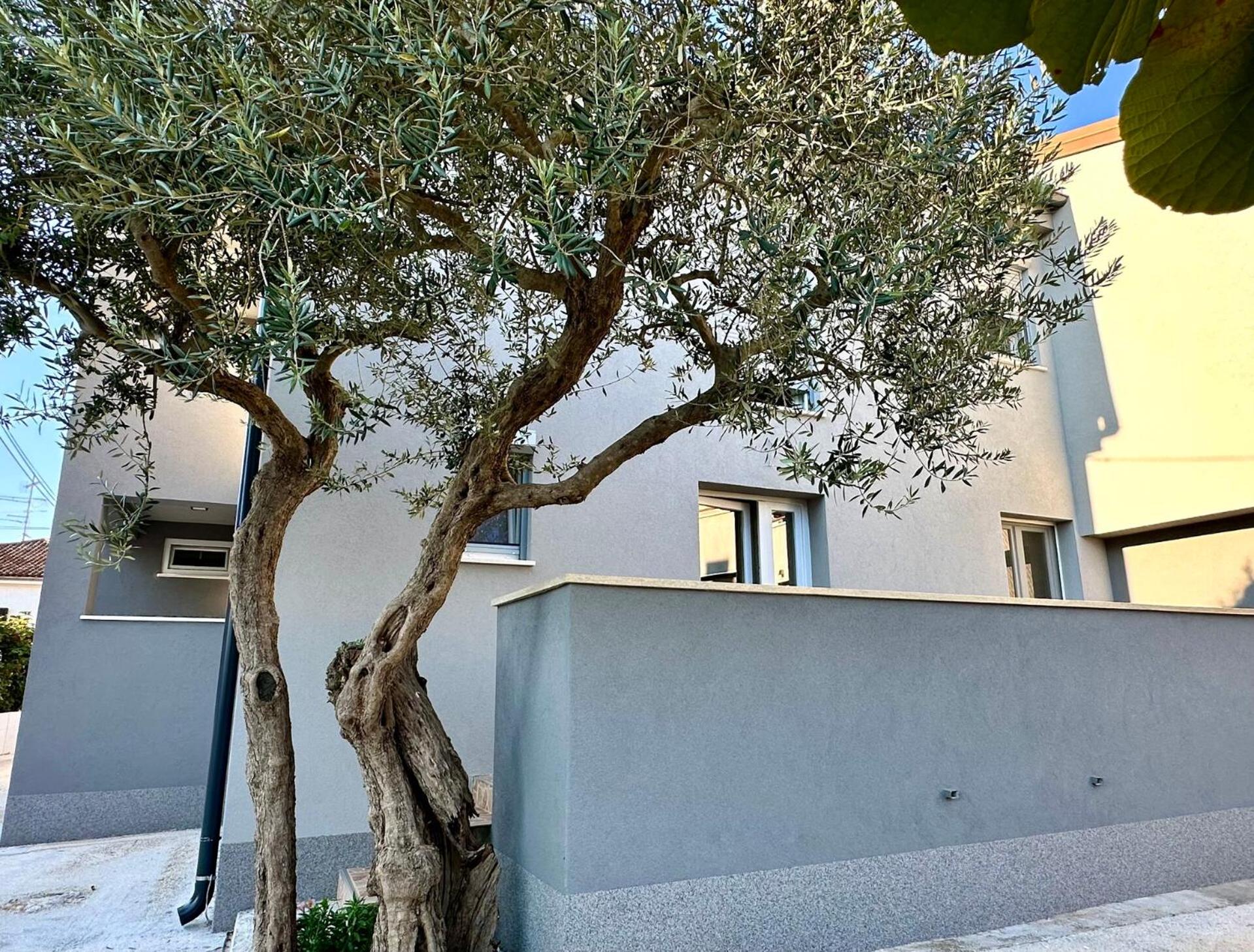 Apartment Krizman in a great location view 2