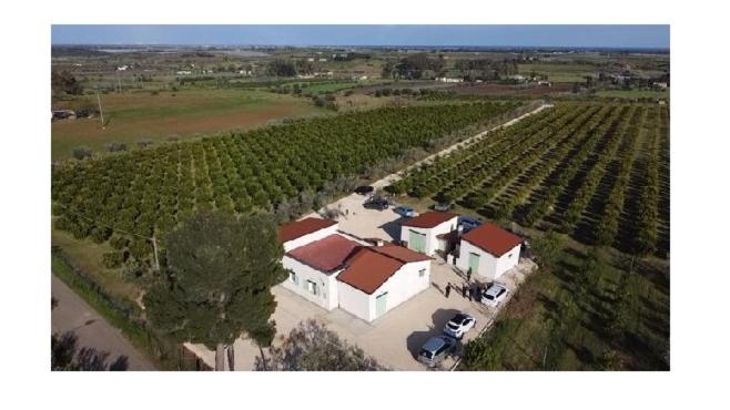 Azienda Agrituristica Spicchio di Sole