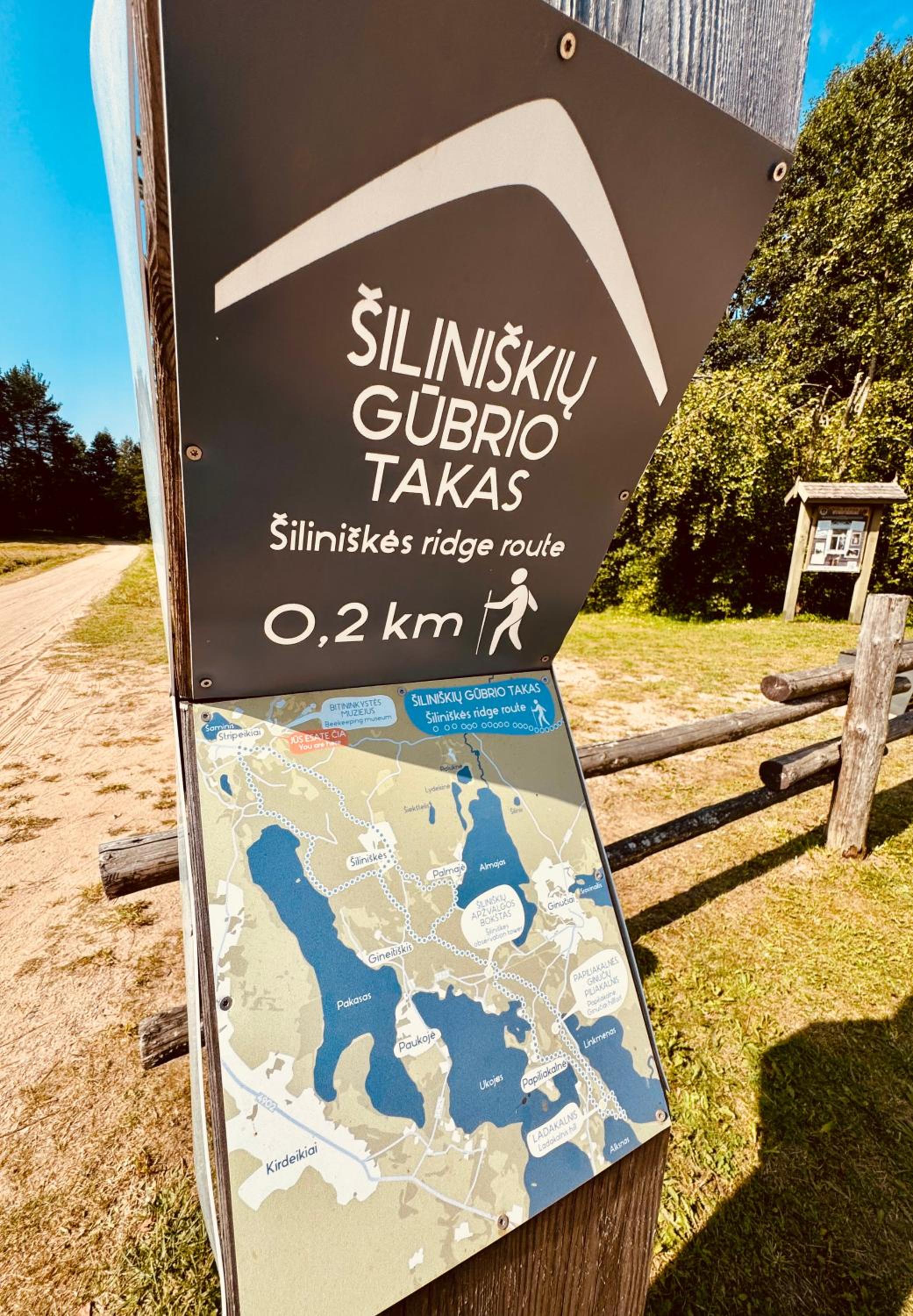 Stripeikių Bitė