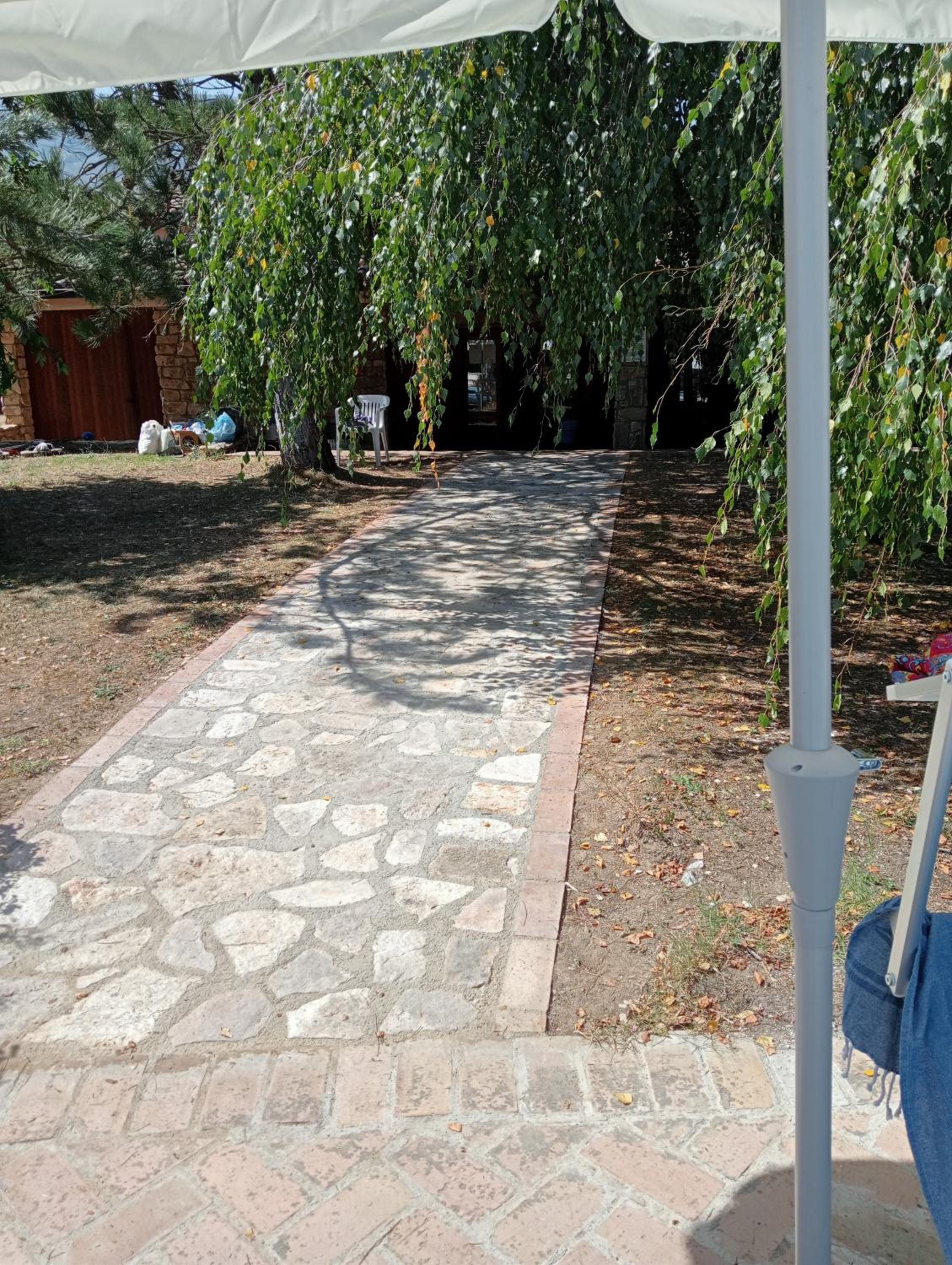 Photo 26