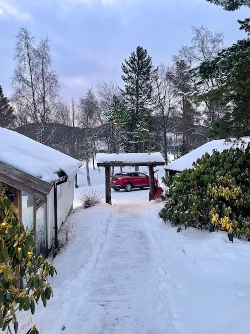 Et helt hus i fredelige omgivelser med utsikt! ca 10 min fra Trondheim sentrum view 2
