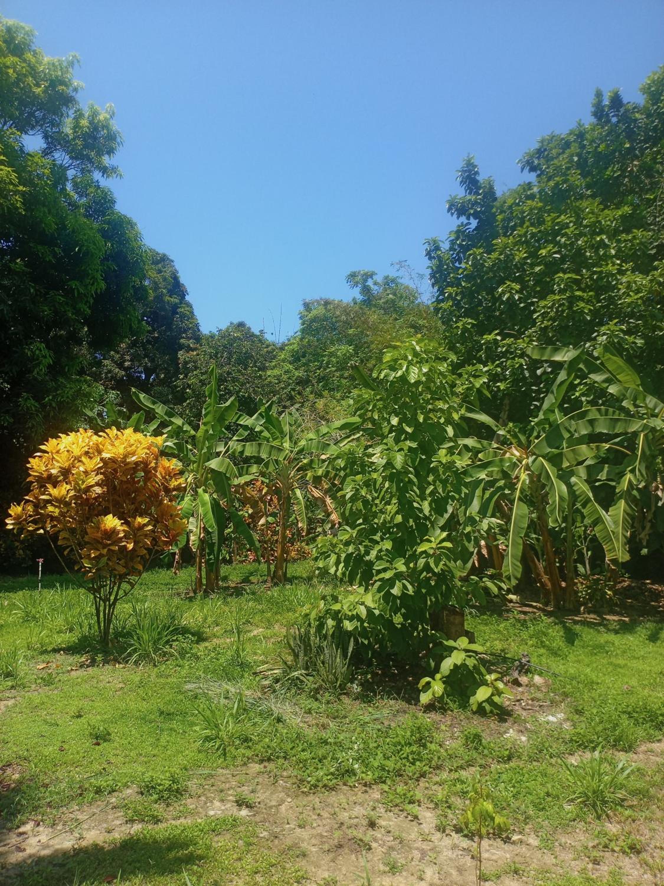 Tayrona Fercho's House
