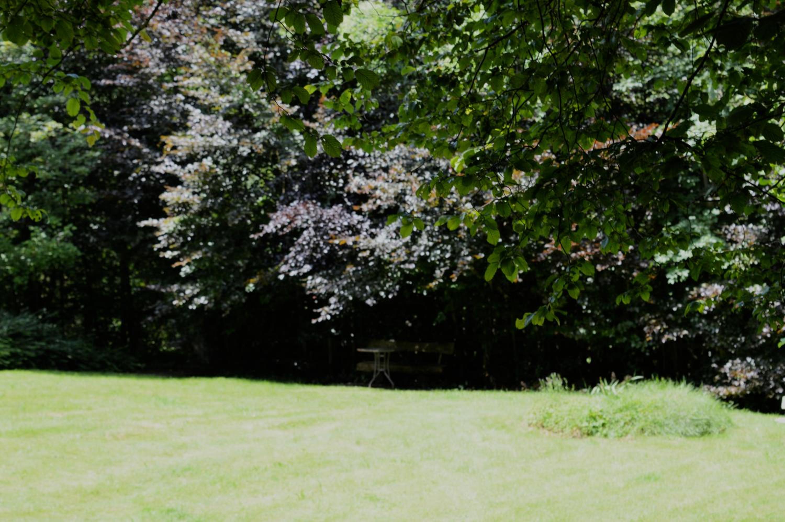 Calme et verdure 9