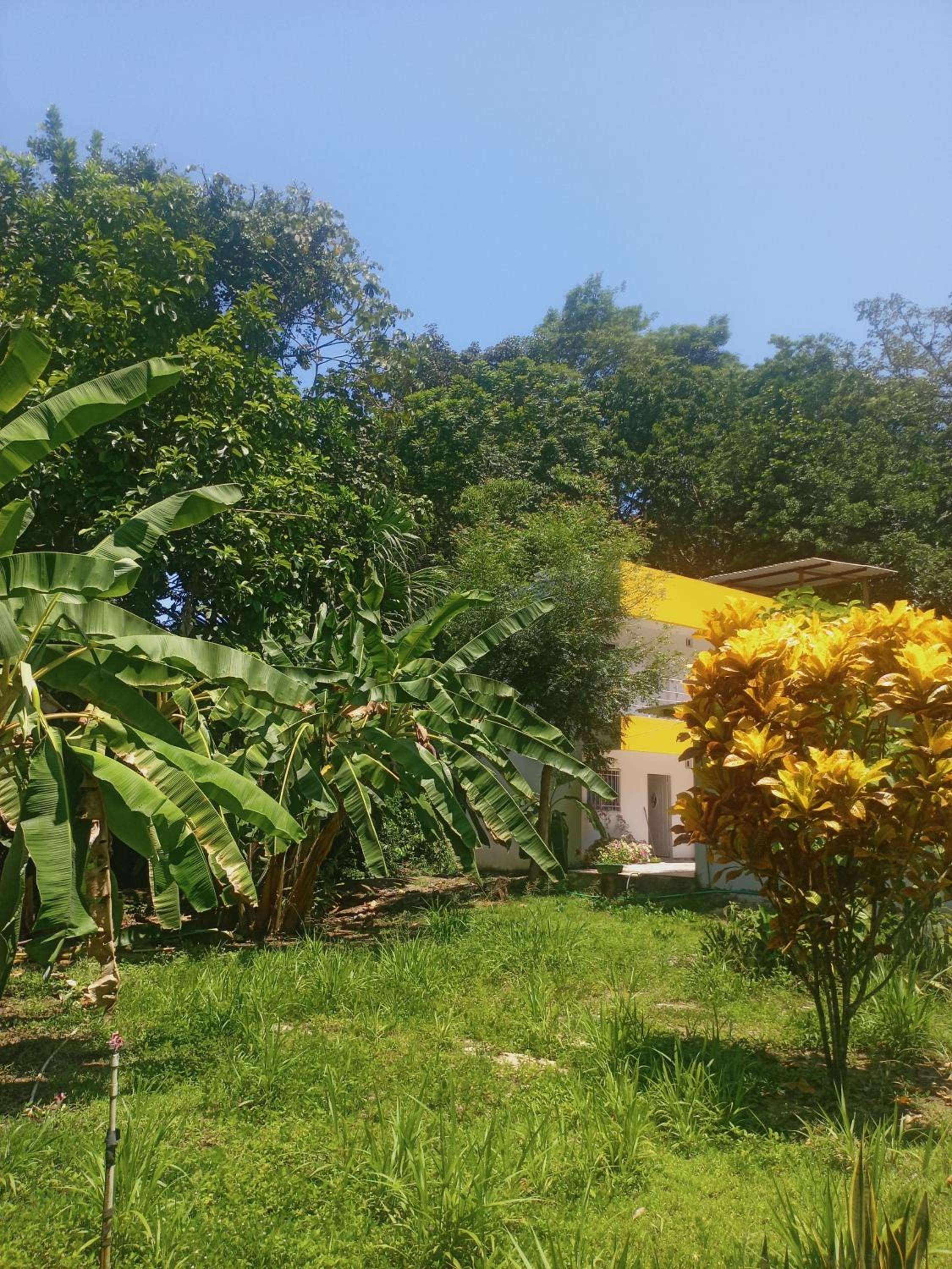Tayrona Fercho's House