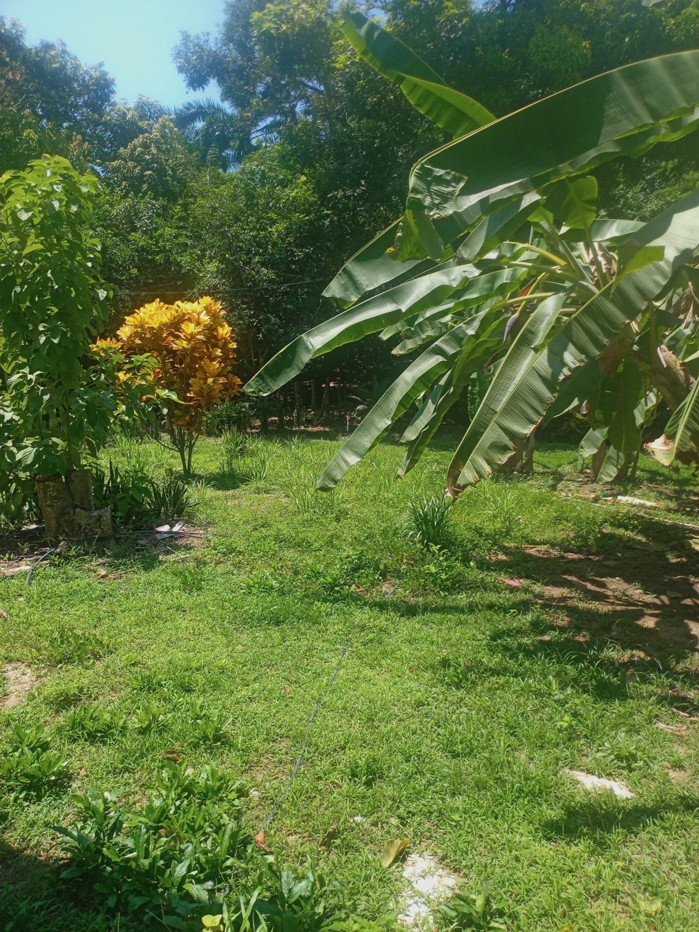 Tayrona Fercho's House
