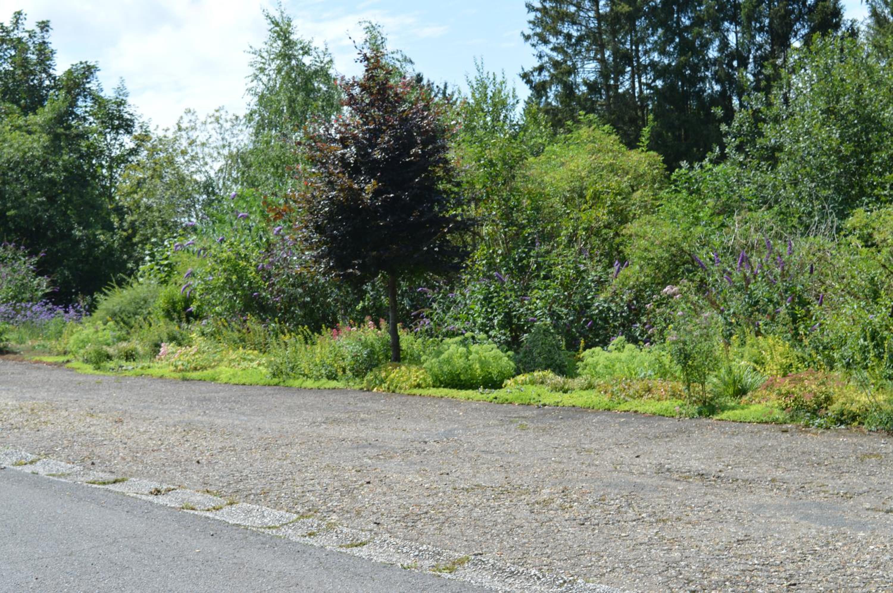 Calme et verdure 9