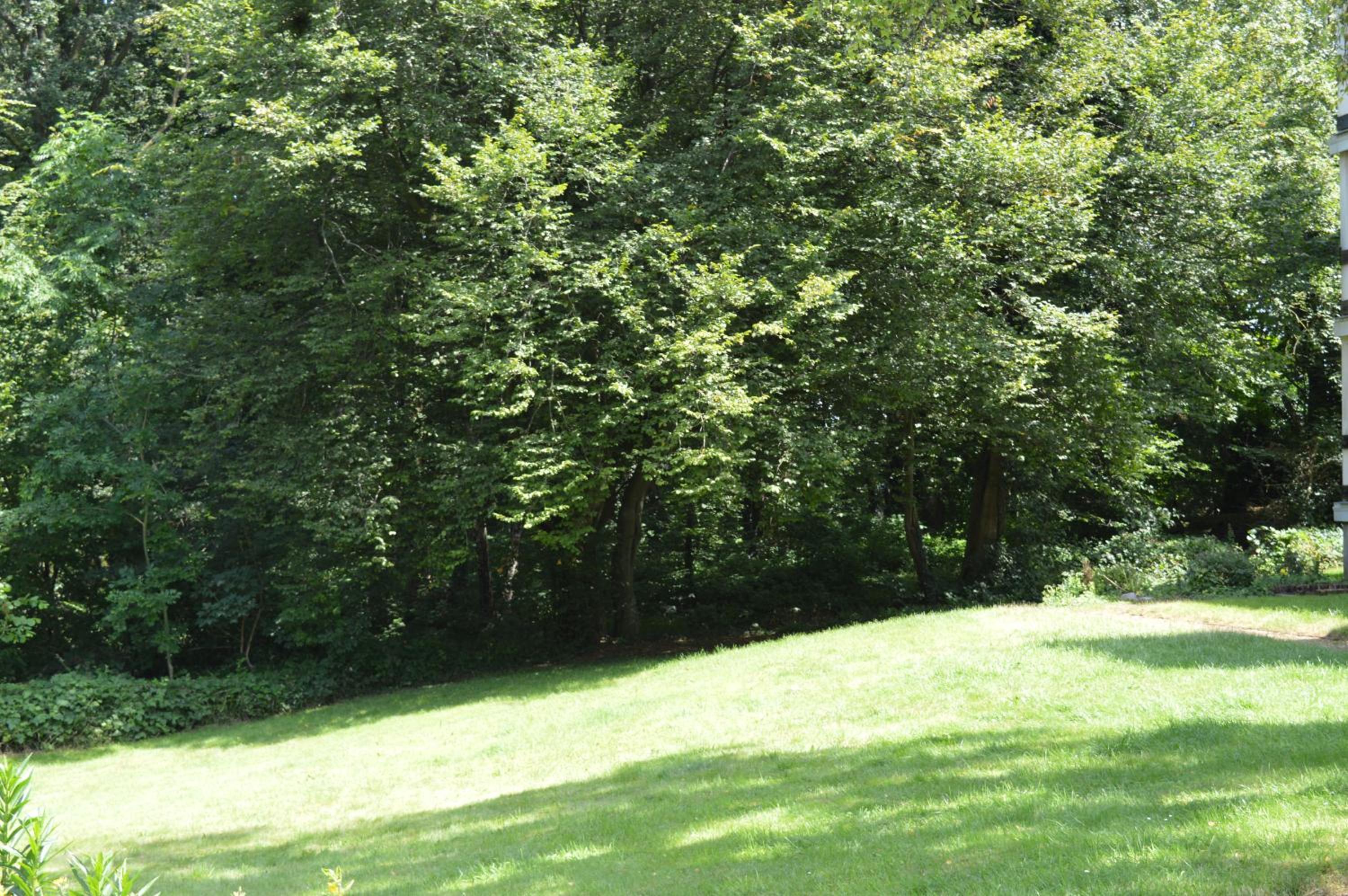 Calme et verdure 9