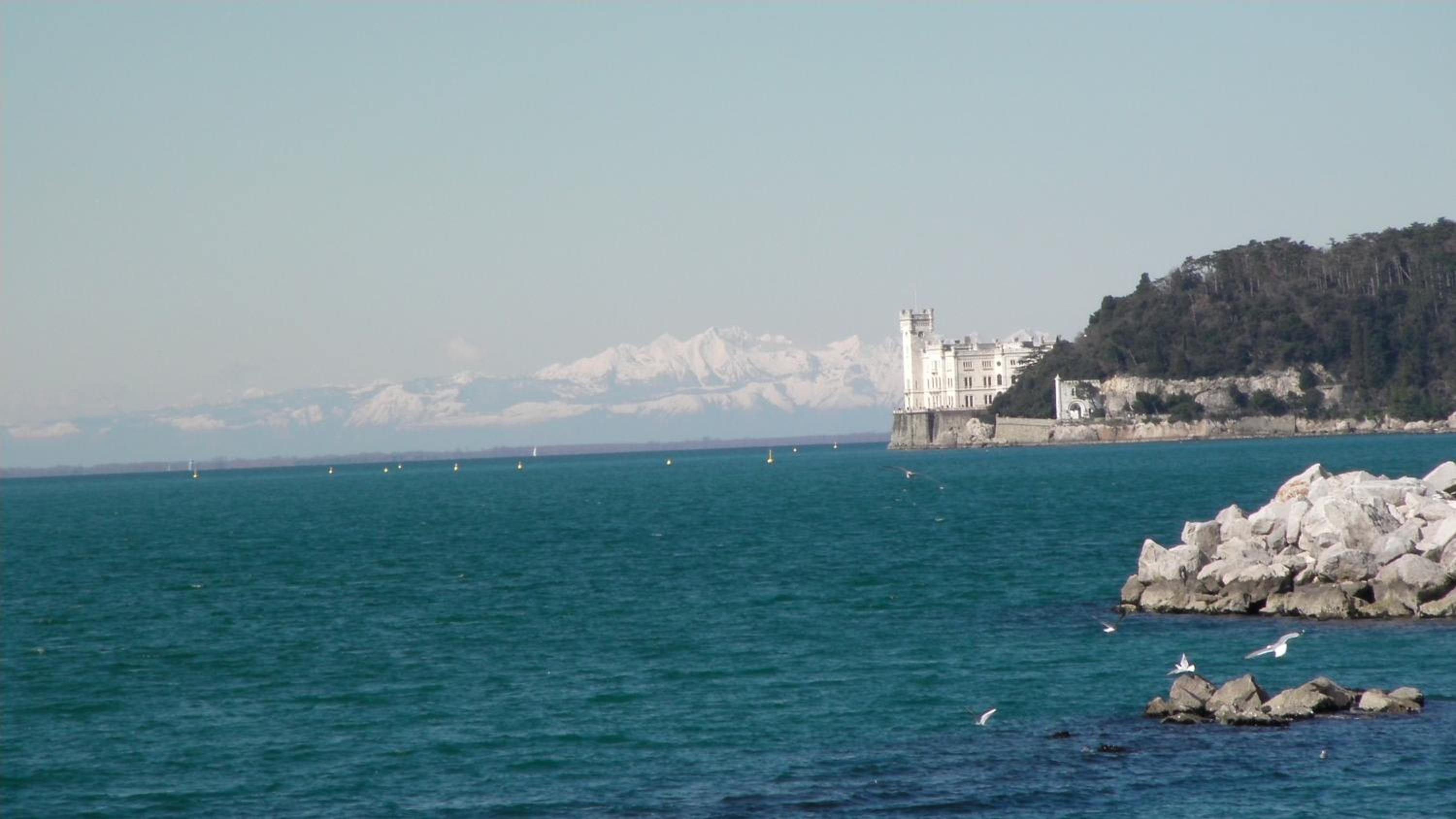 Photo 41