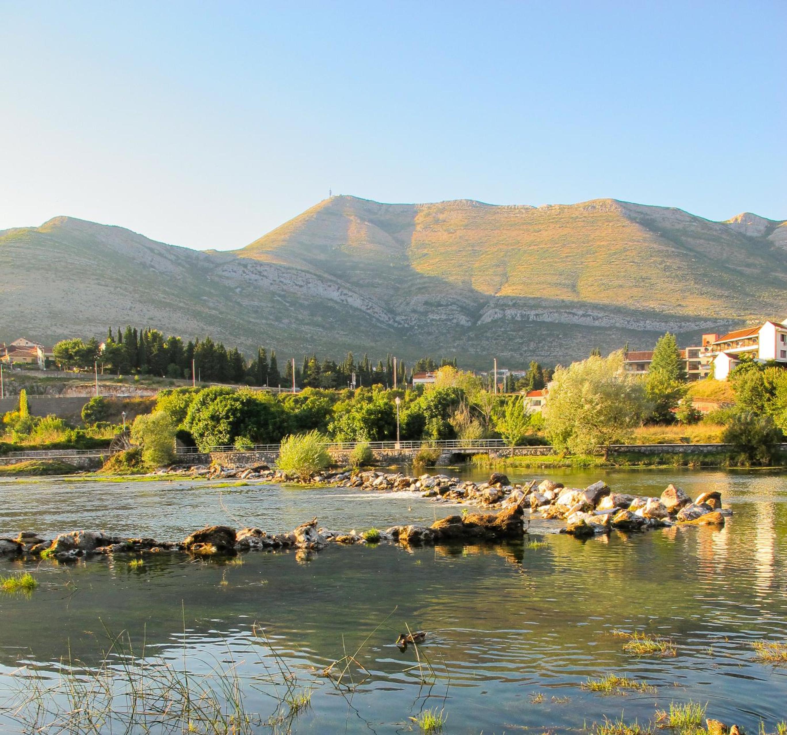 Plava orhideja apartman
