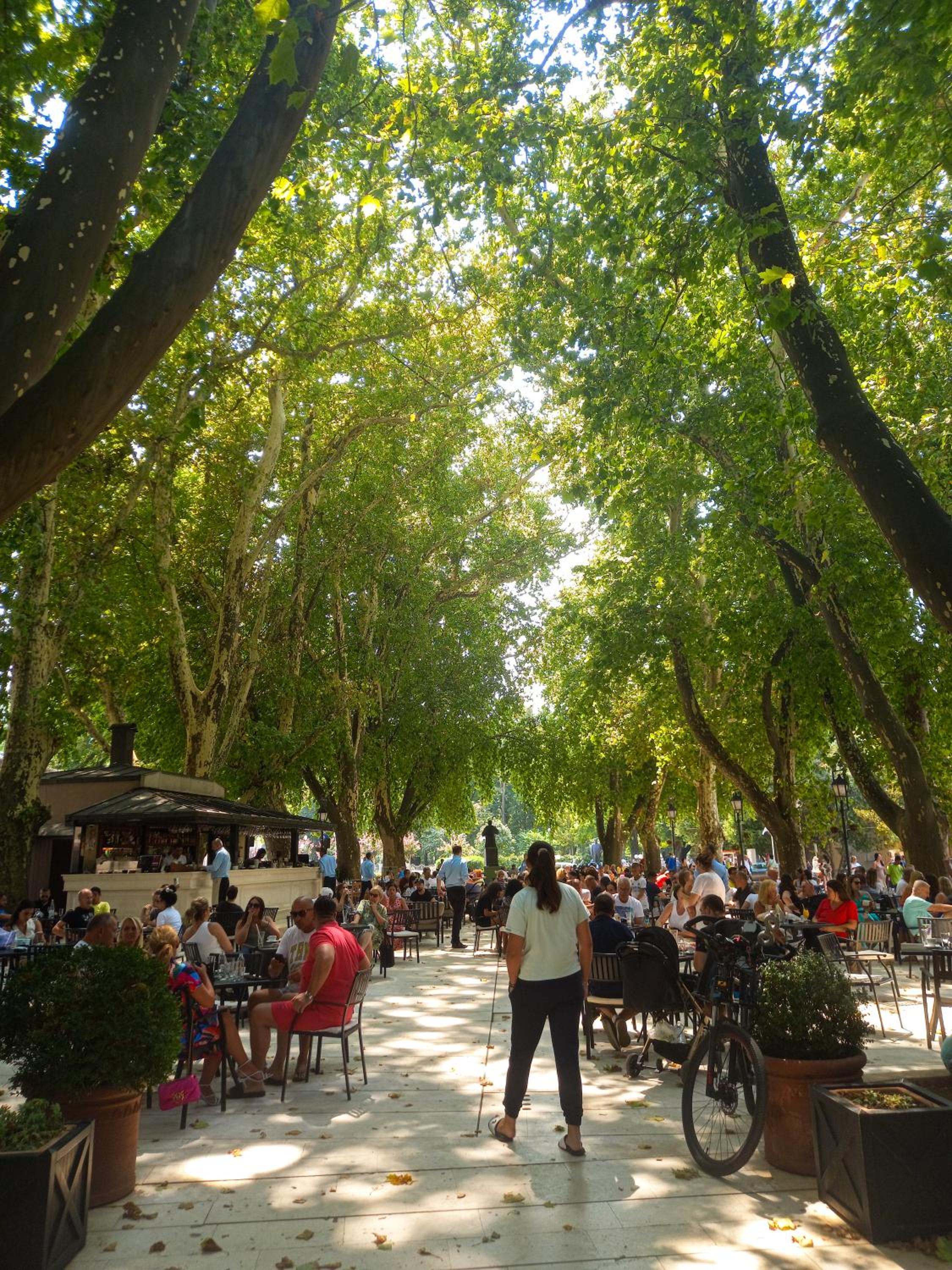 Plava orhideja apartman