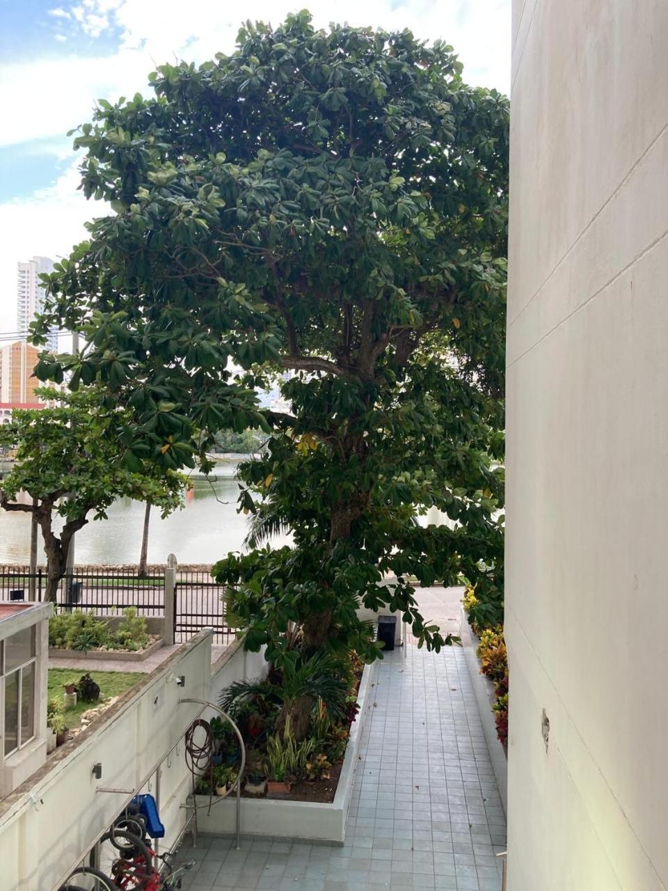 Amazing Ocean View apartment with Pool in Laguito Cartagena