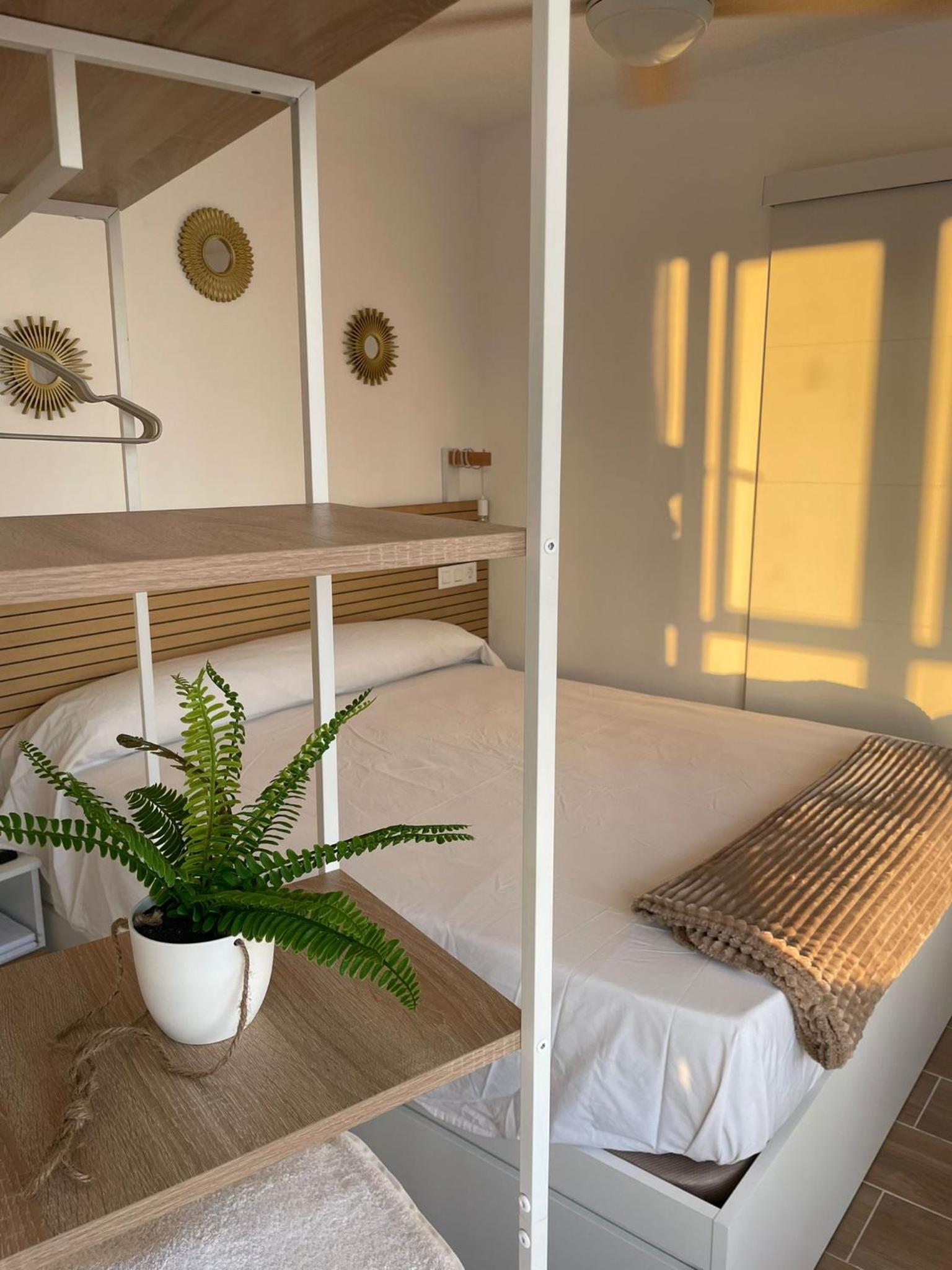 Suite Panoramic