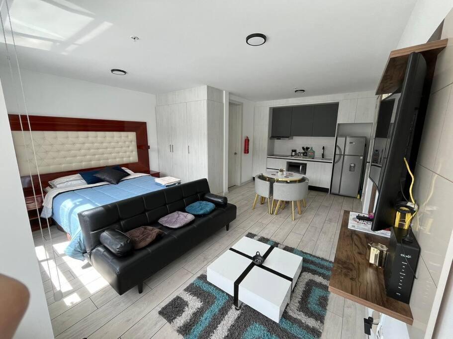 Mini Suite Vida