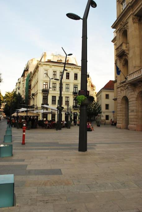 Pedestrian Area, City Center view 3
