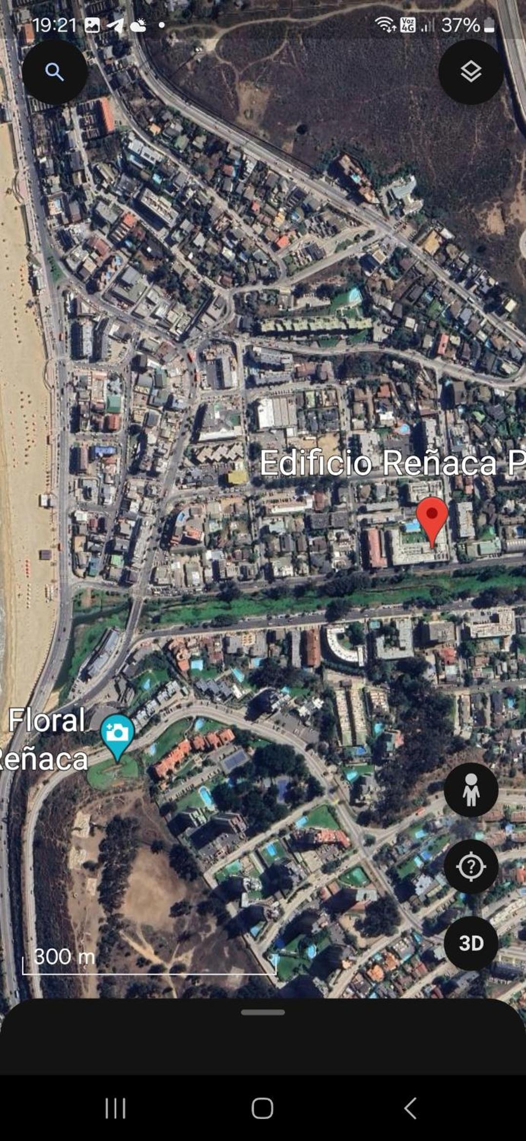 Reñaca Park 1