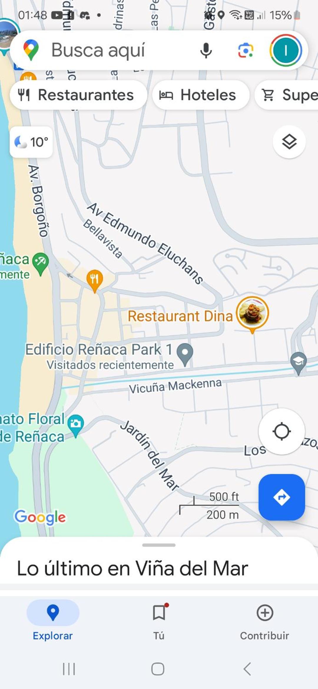 Reñaca Park 1