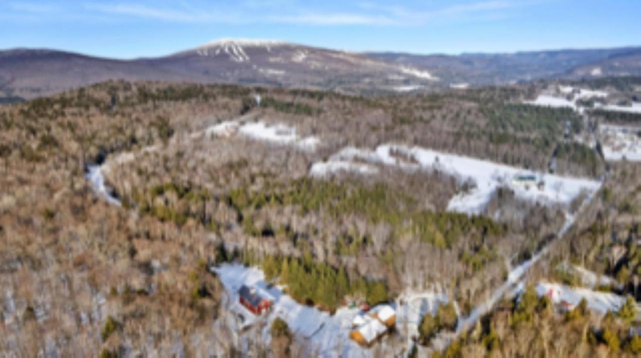 The Proud Bear Lodge view 3