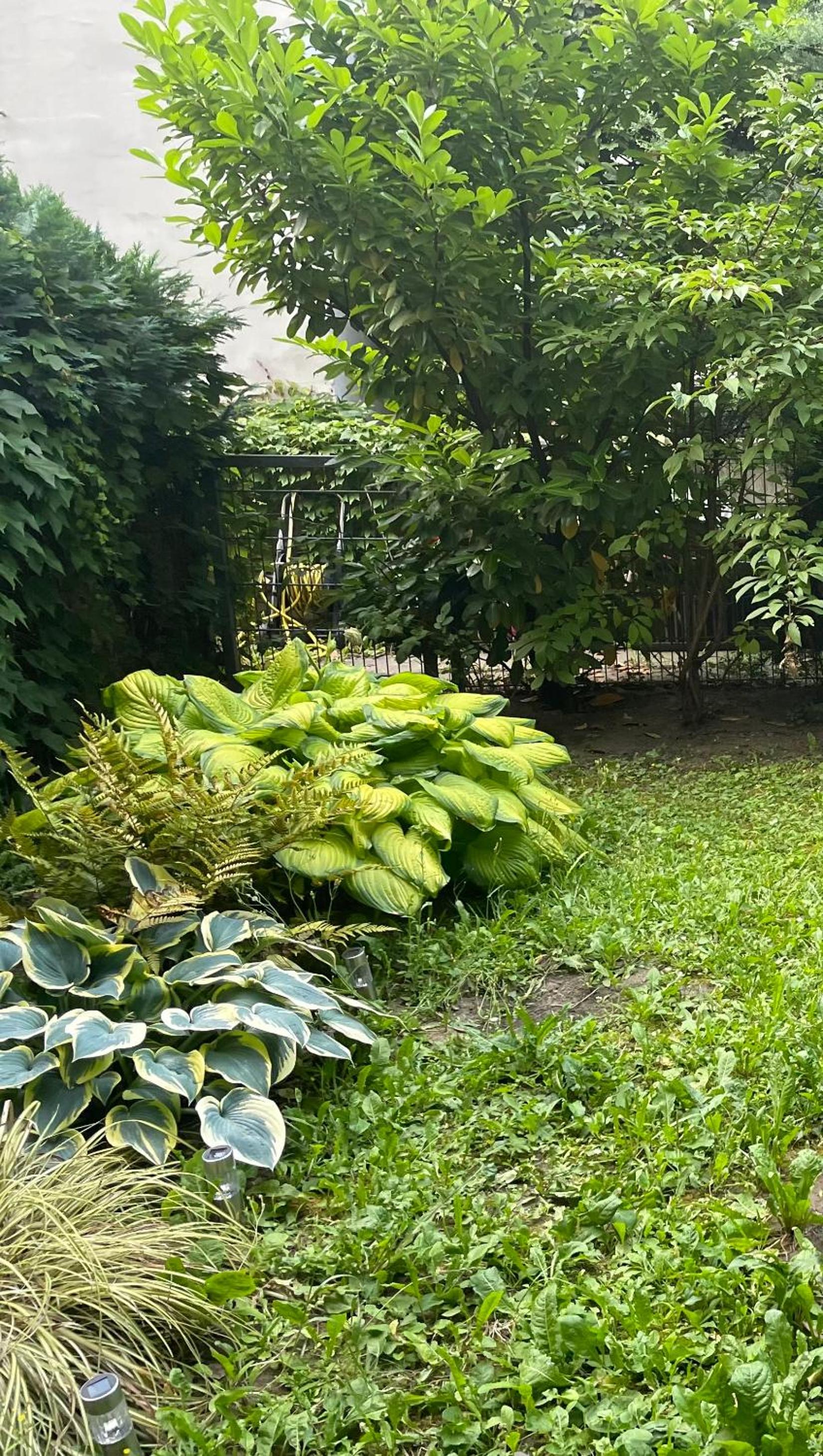 Apartment mit Logia und kleinen Garten in zentraler Lage 2