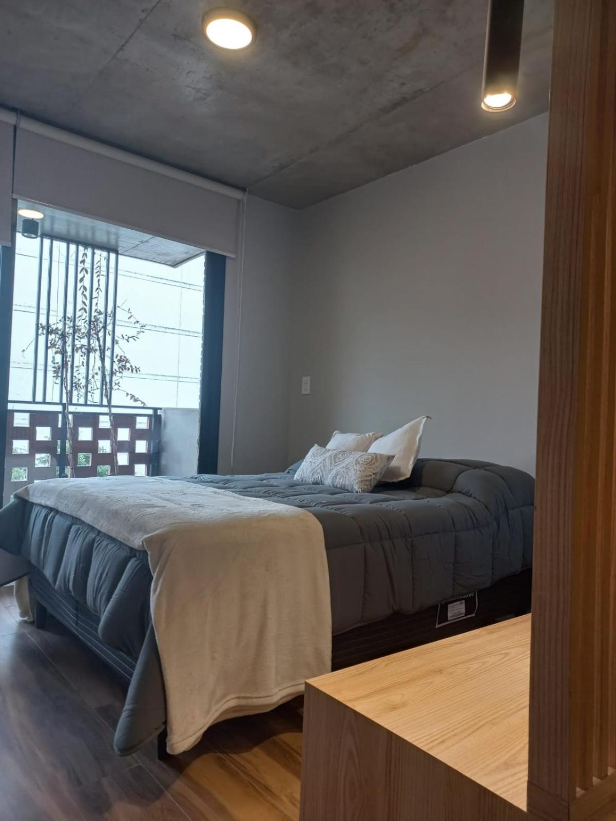 Loft Edificio Focus Brick