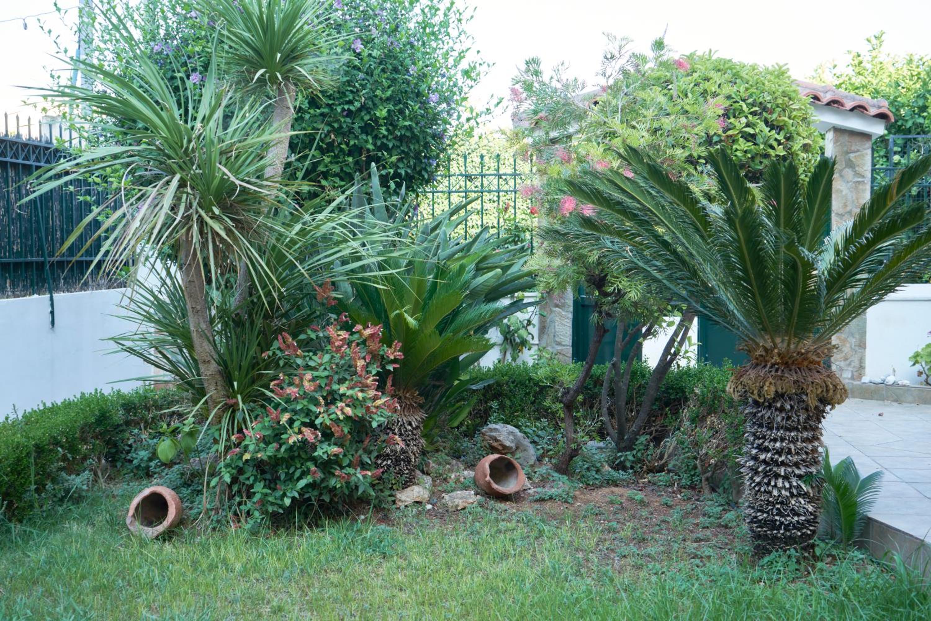 Paradiso Perduto
