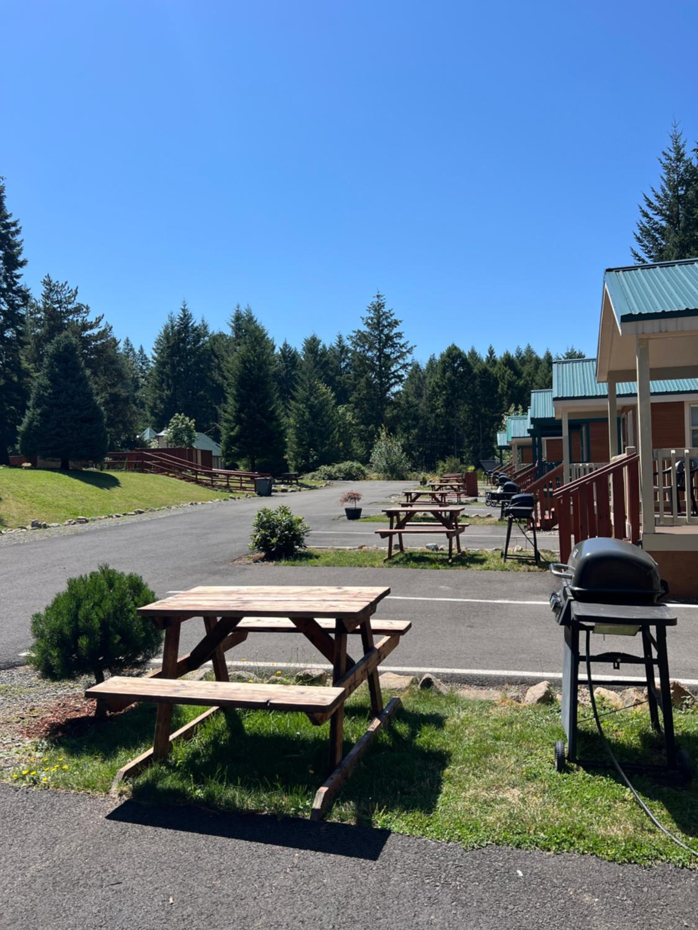 Packwood Lodge & Cabins