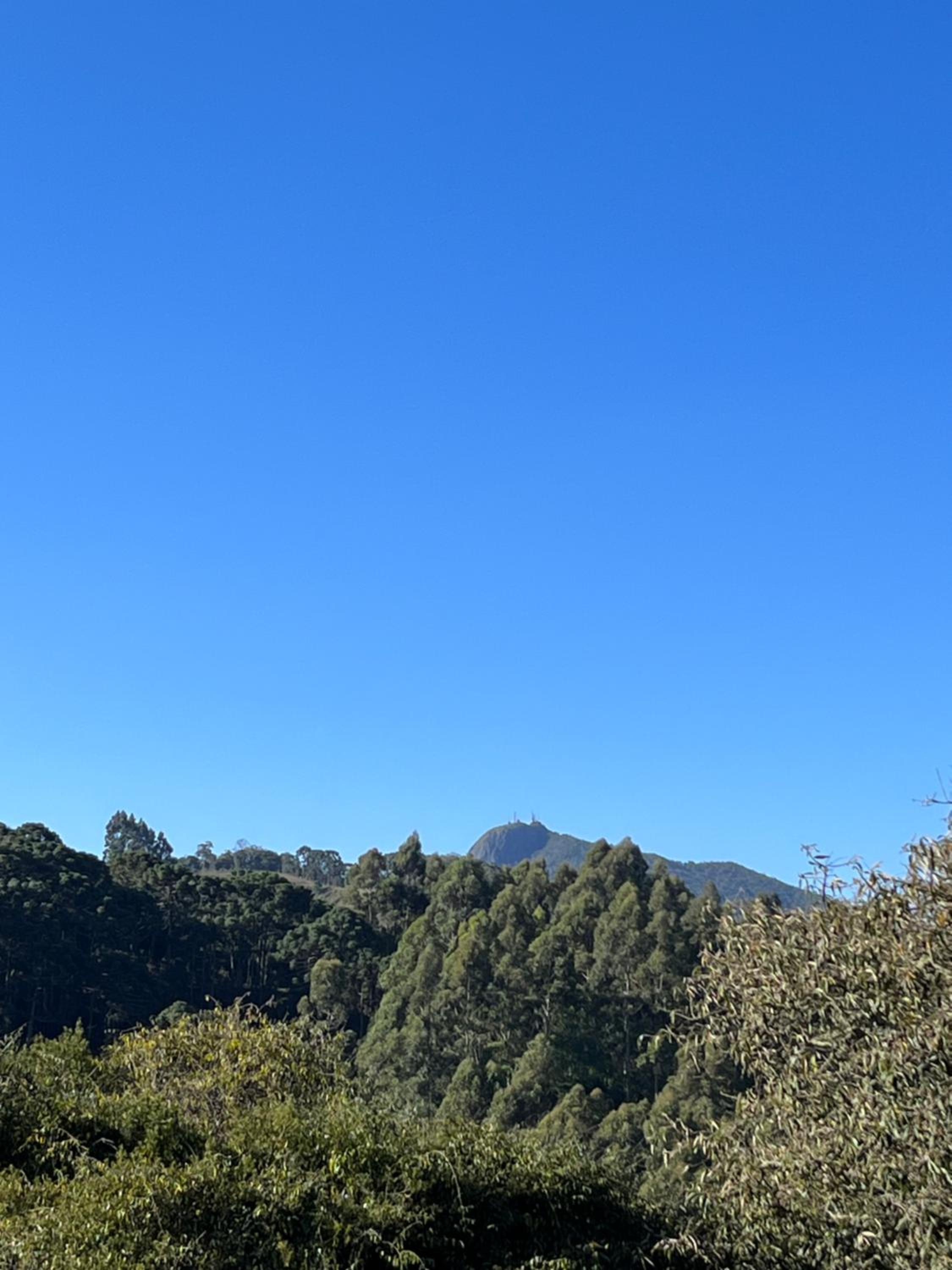 Chalés Pinheiros da Mantiqueira