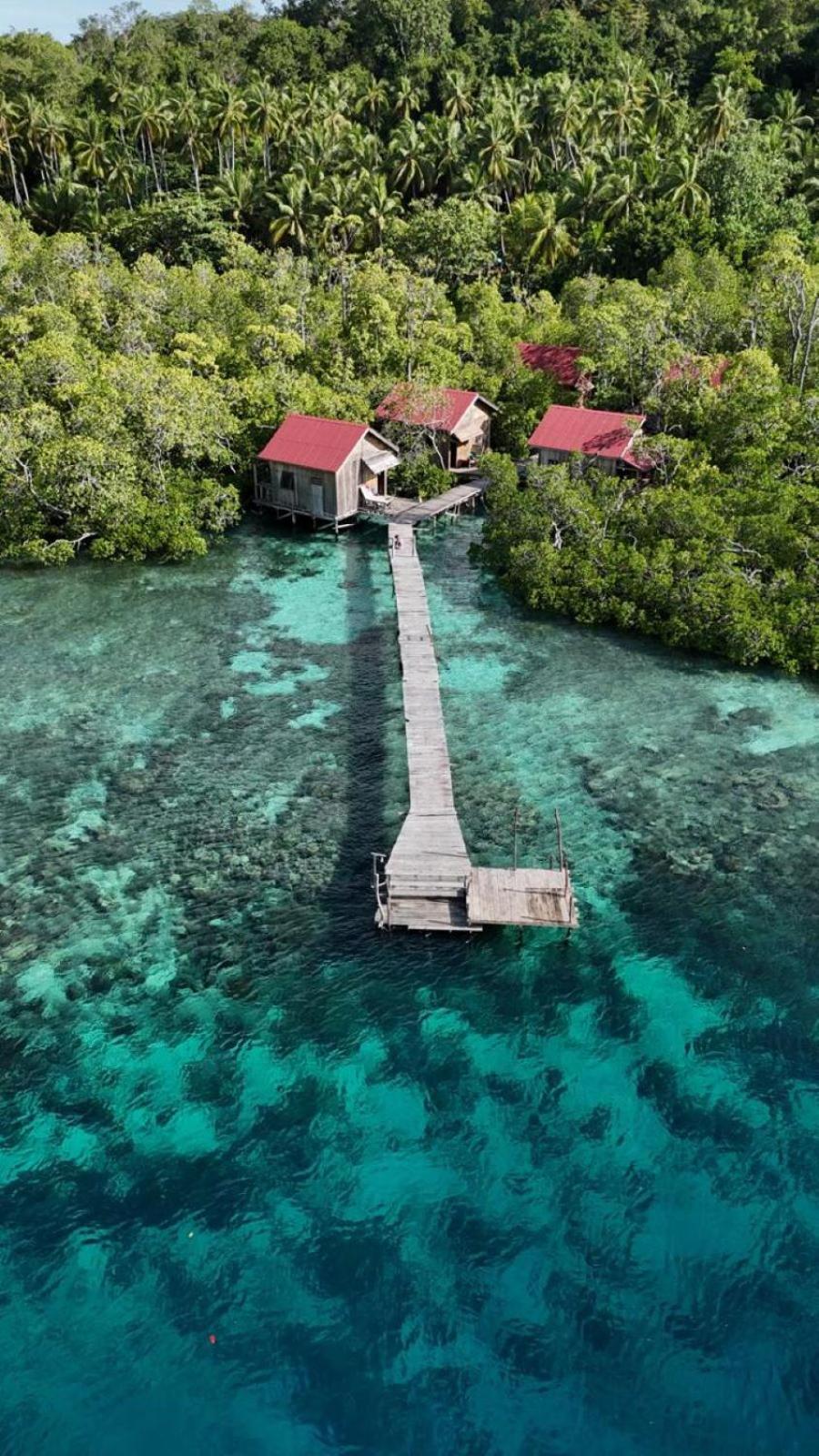 Raja Ampat Blue Sea