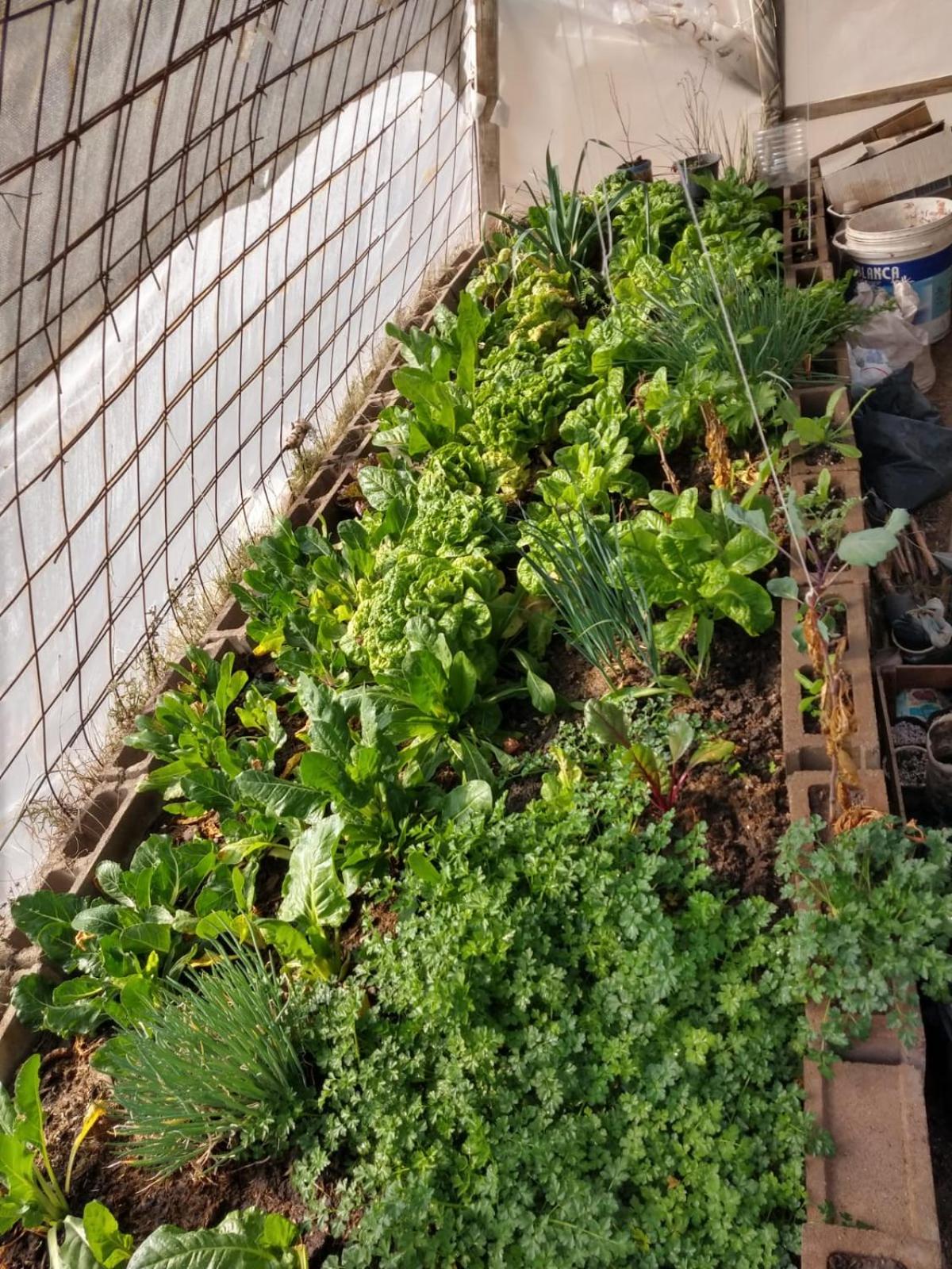Alquiler monoambiente