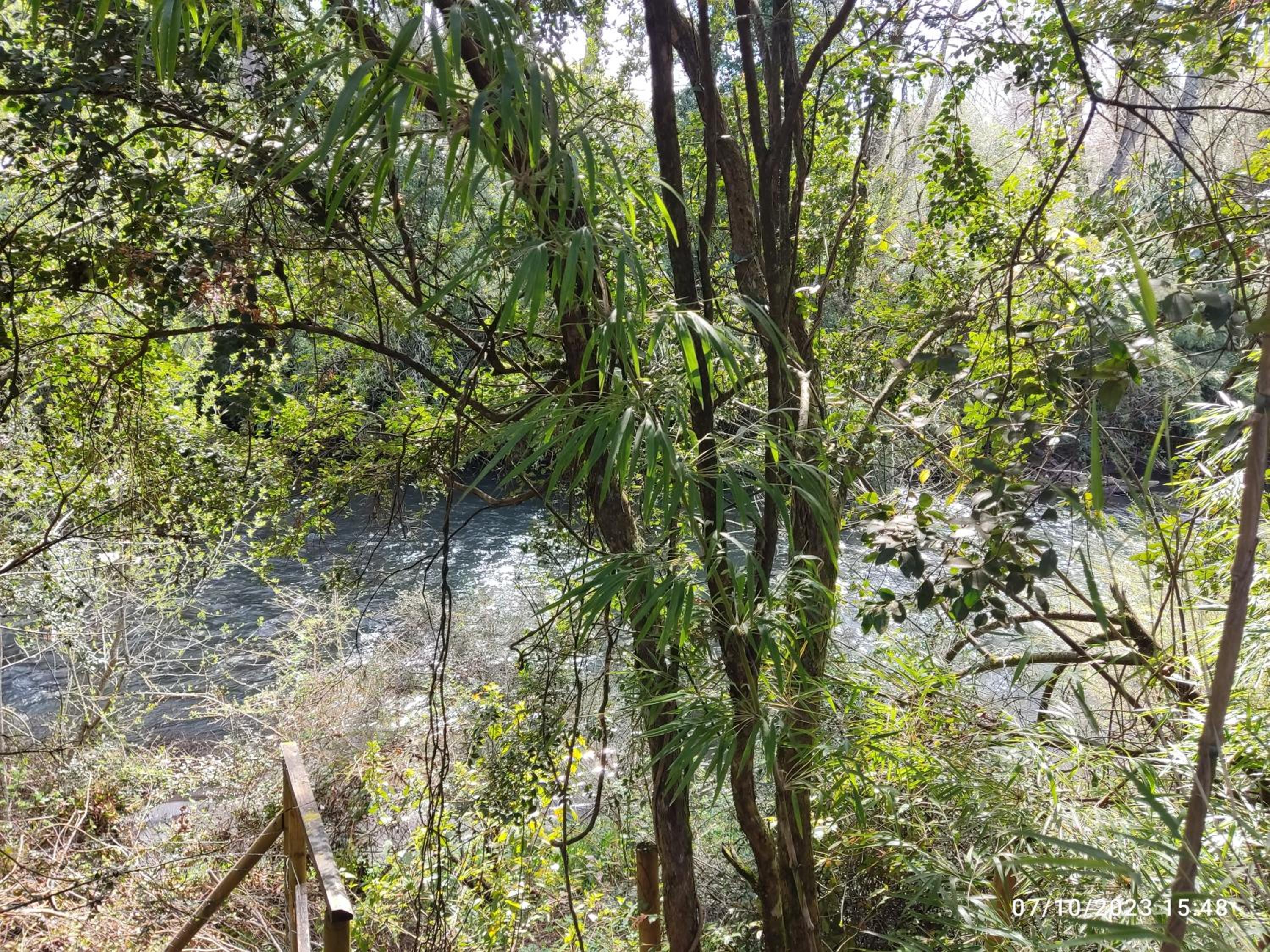 Villarrica Borde Río