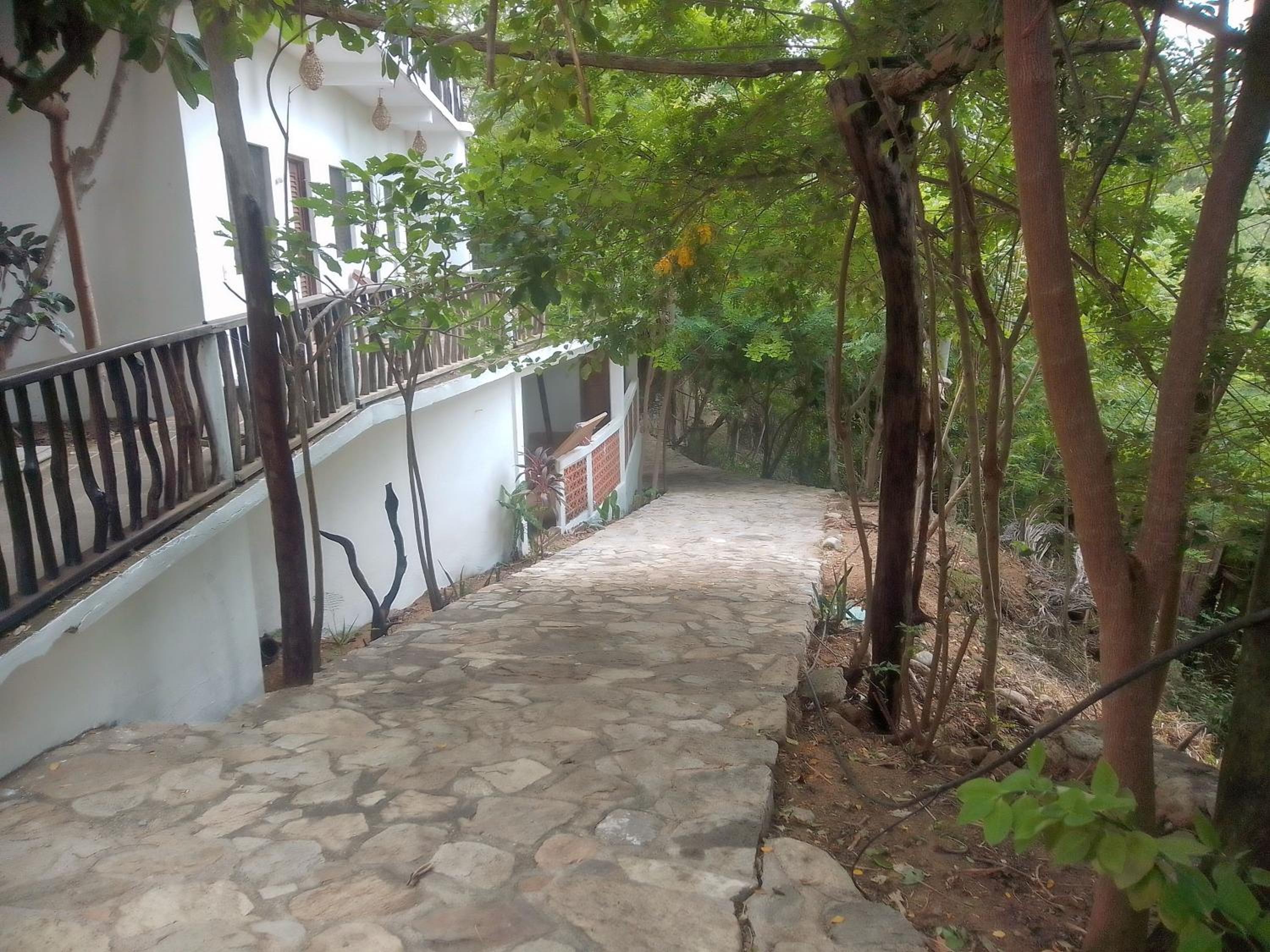 Photo 16