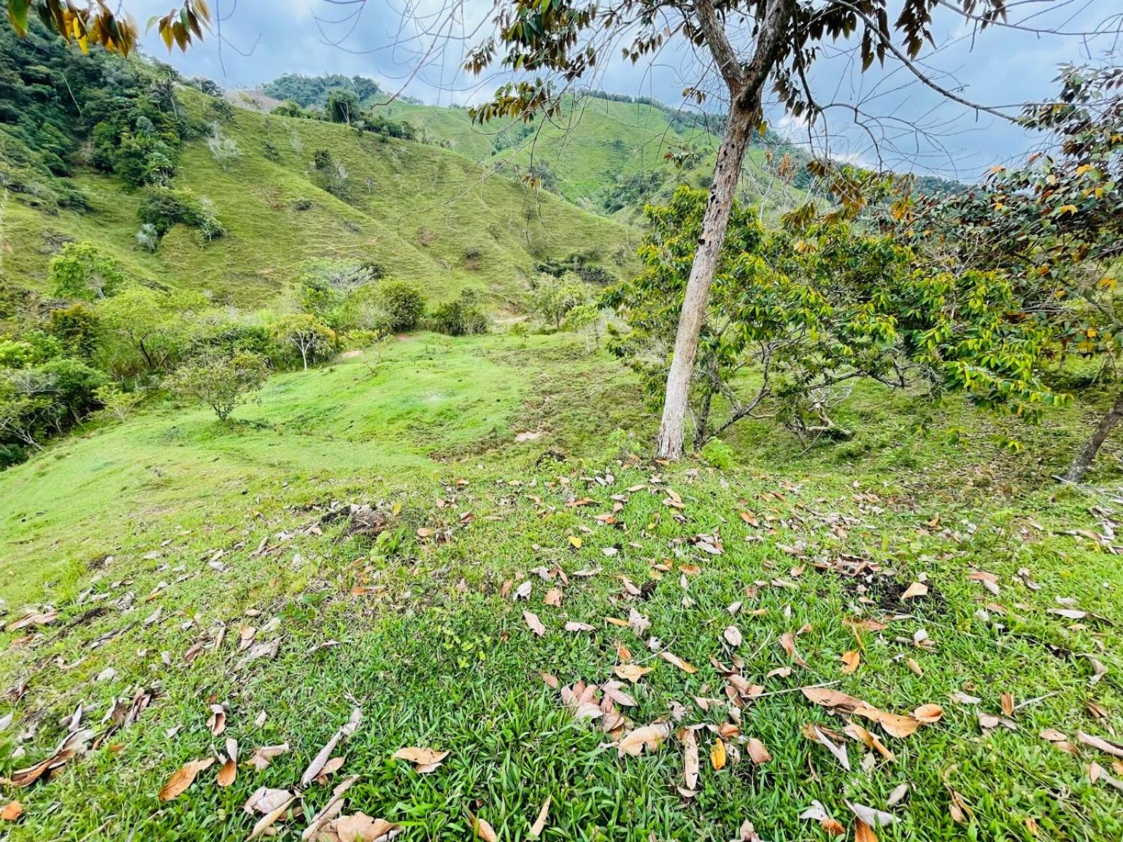 Habitación en Casa Campesina cerca al Embalse San Lorenzo
