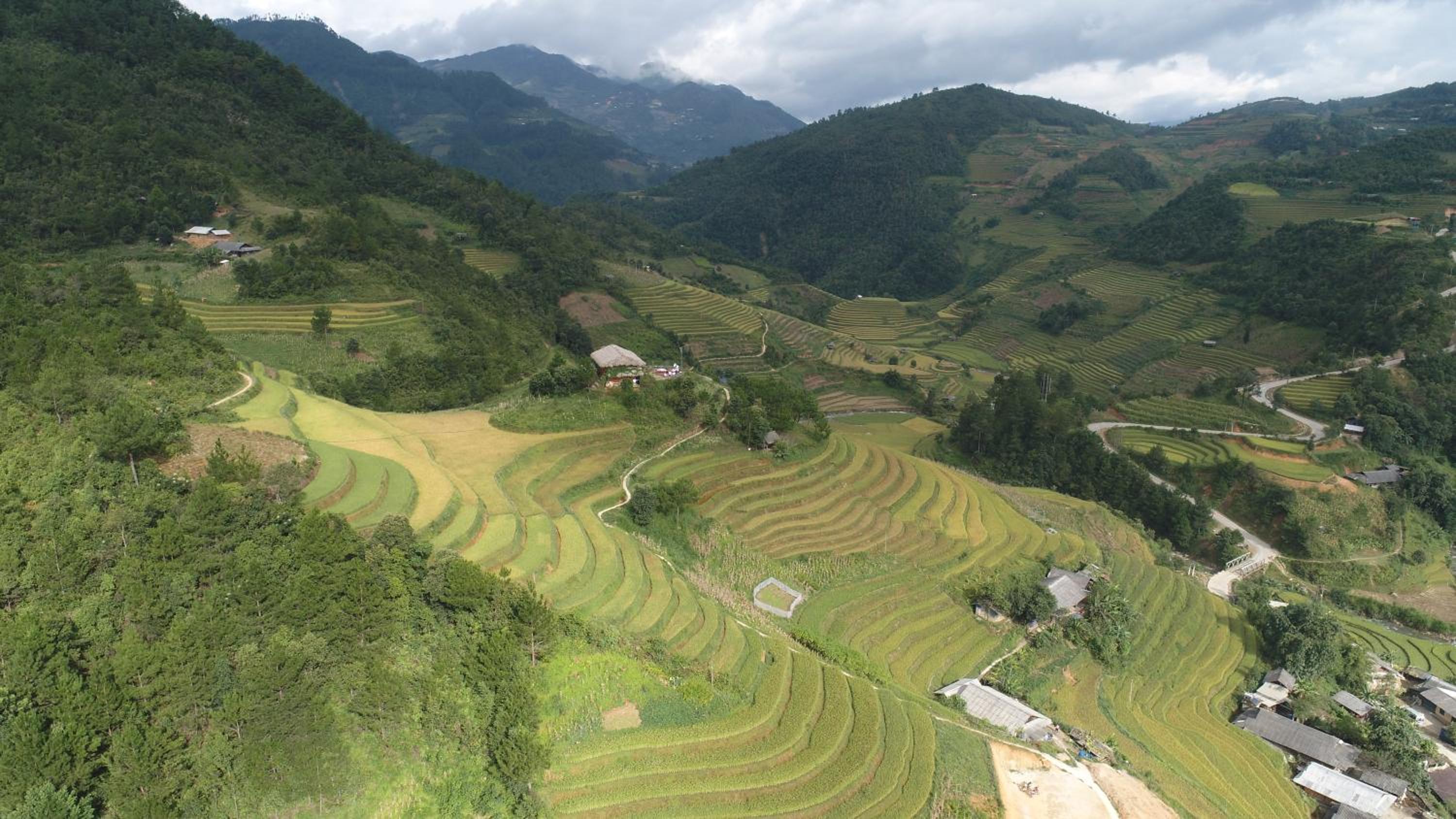 Hello Mu Cang Chai Homestay & Tours