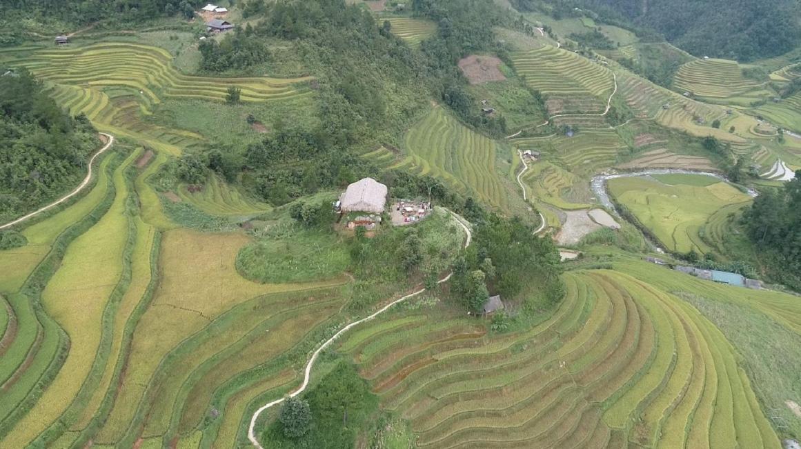 Hello Mu Cang Chai Homestay & Tours