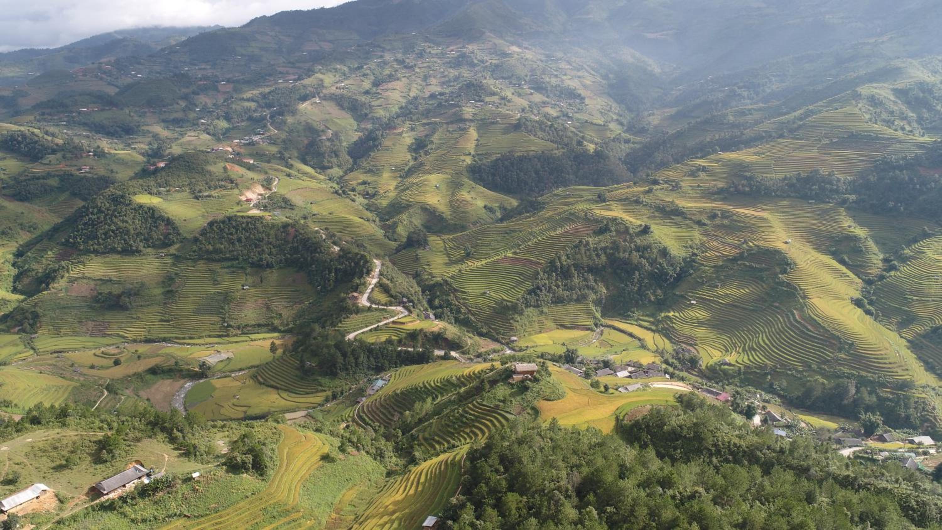 Hello Mu Cang Chai Homestay & Tours