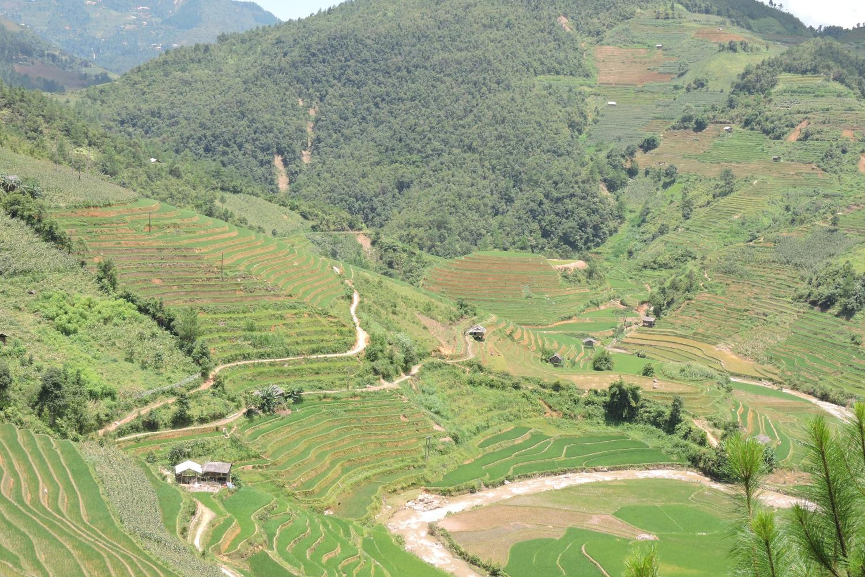 Hello Mu Cang Chai Homestay & Tours