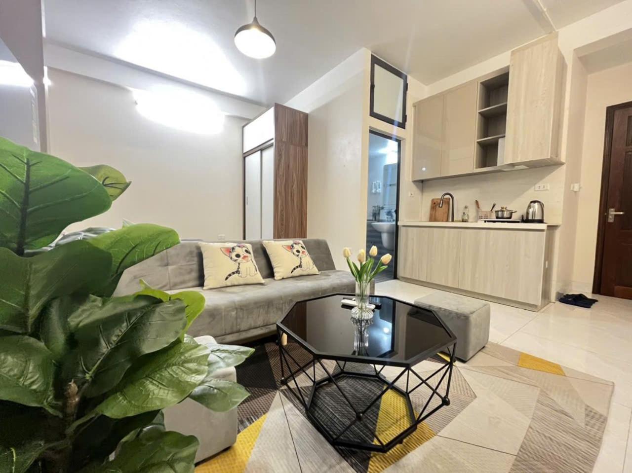 Lase Lit Homes - Hà Nội