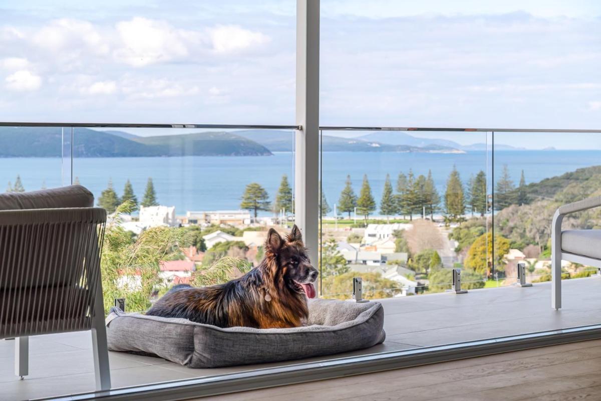 Albany Vacations - The View, Albany Holiday House - Property Image 6