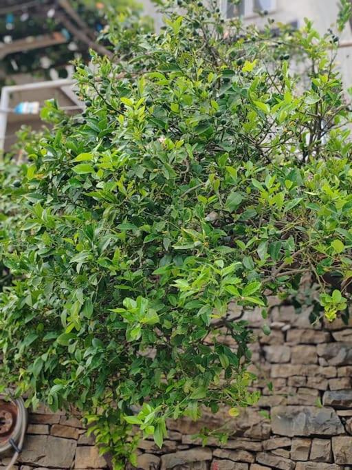 other