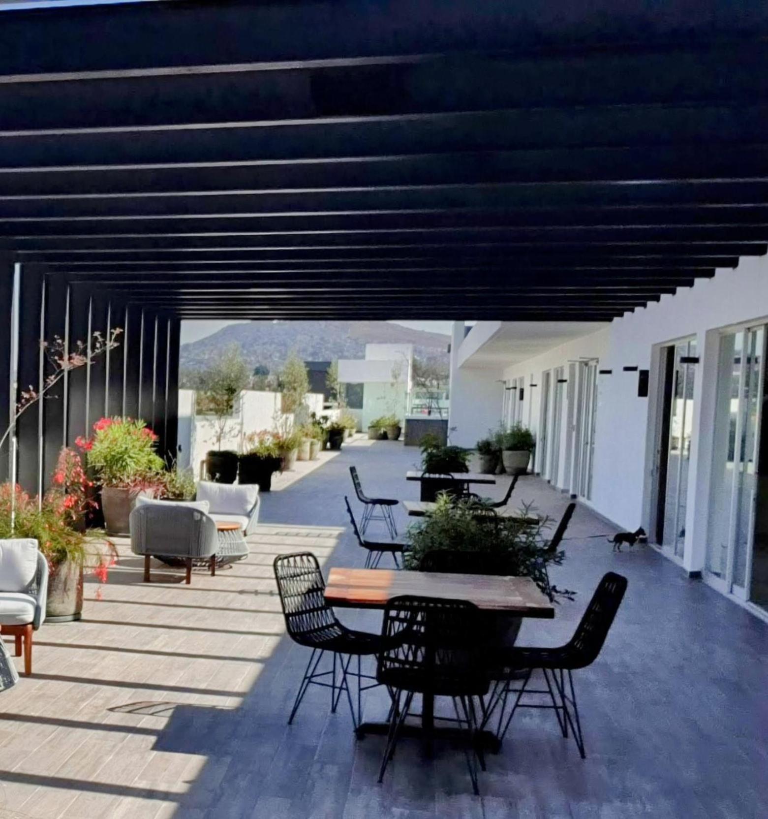 balance & terrace