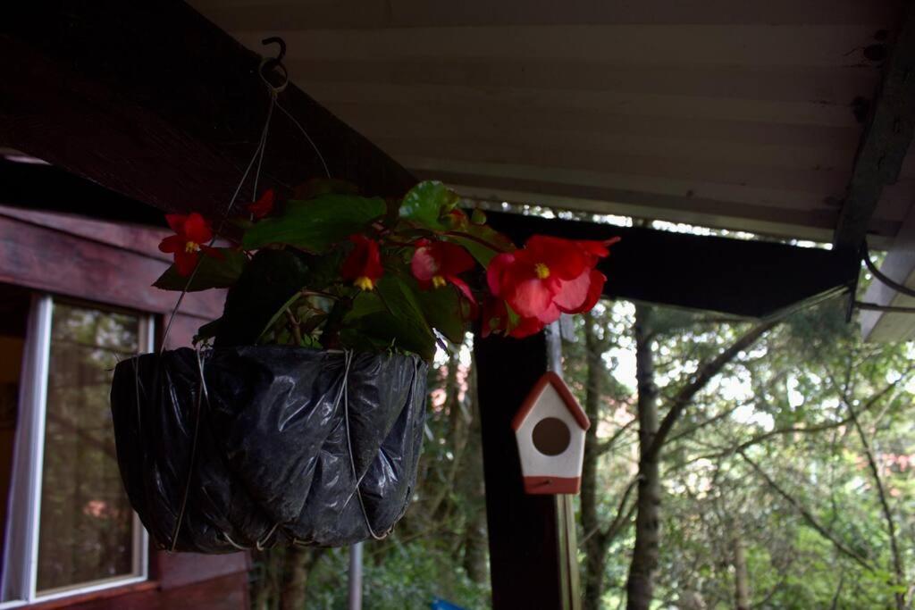 Photo 30