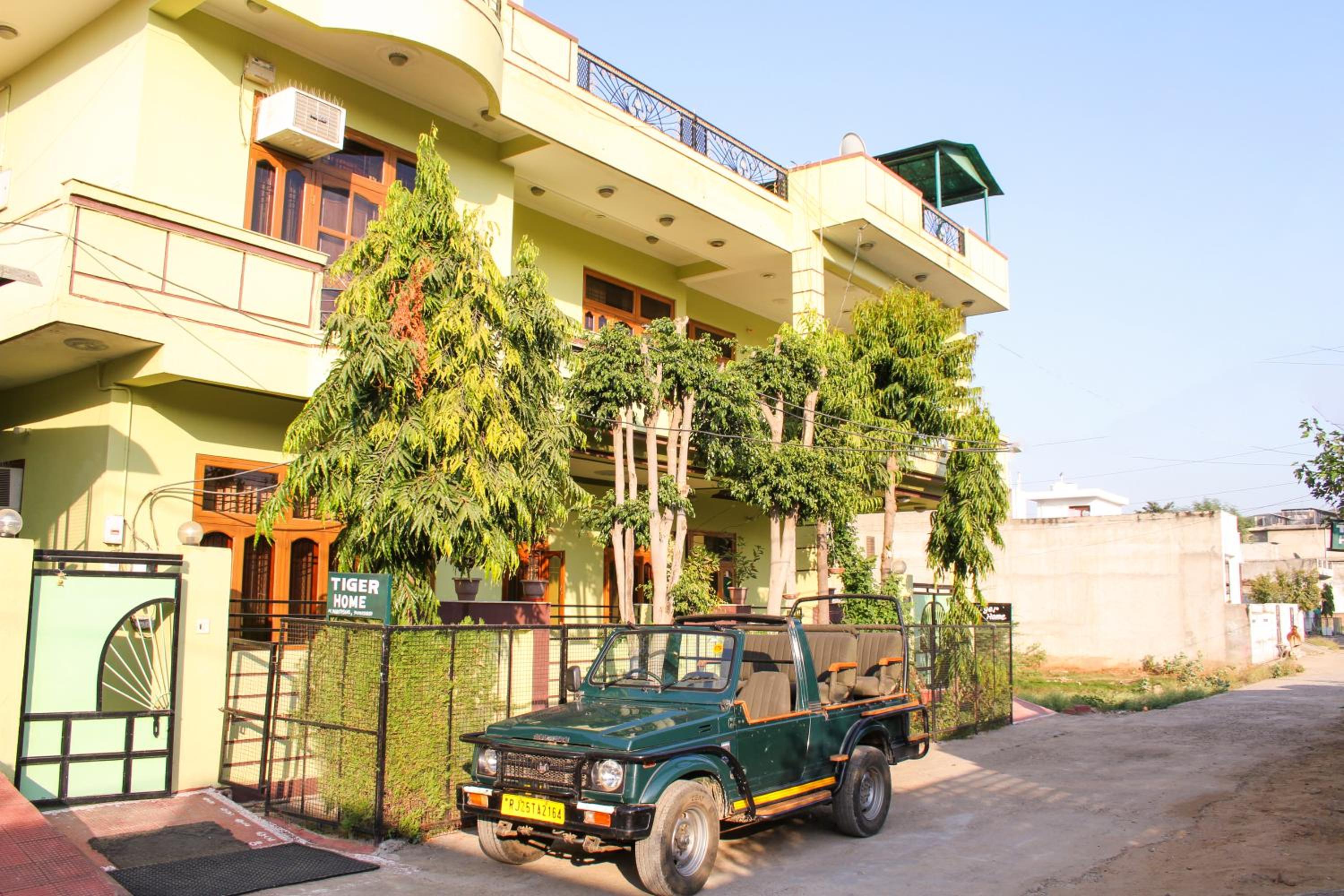Ranthambore Tiger Home view 4