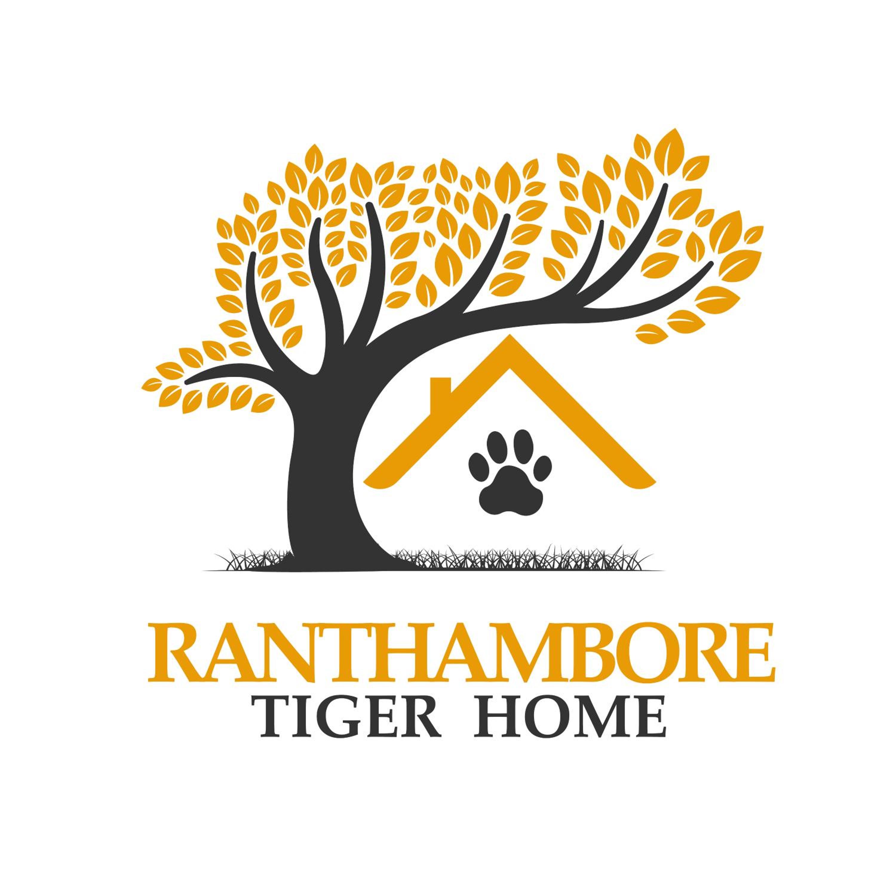 Ranthambore Tiger Home view 2