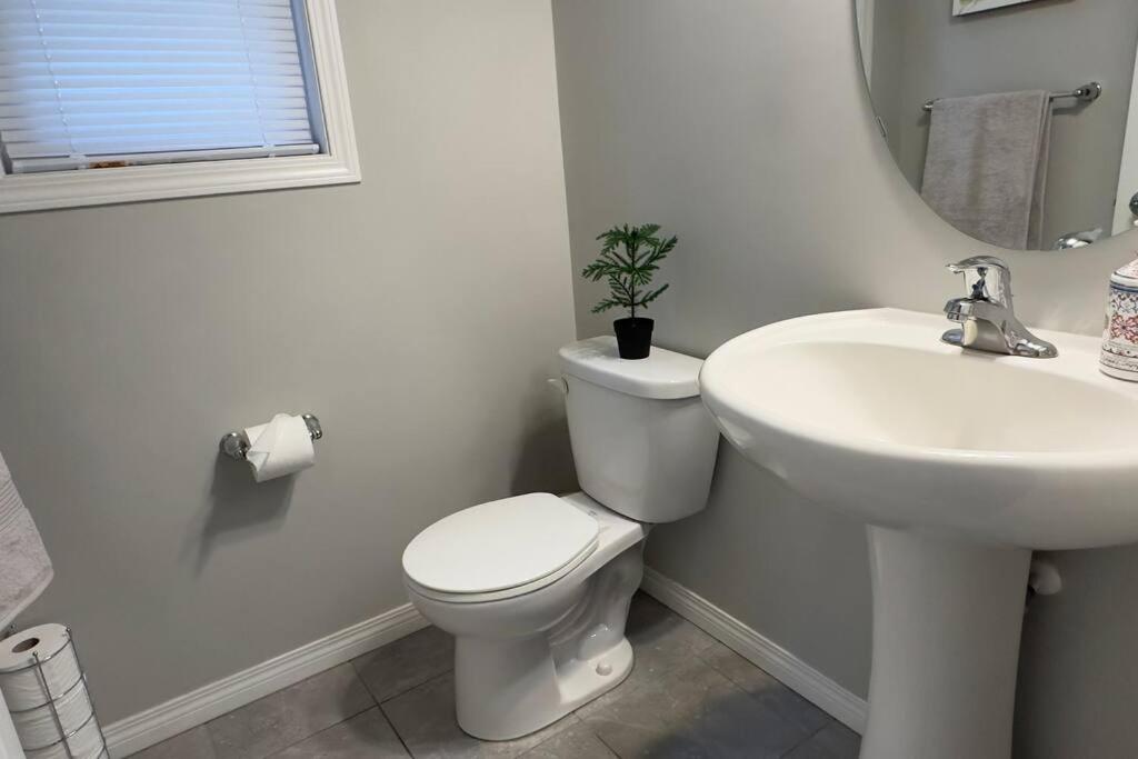 Cozy Home Near Calgary Airport