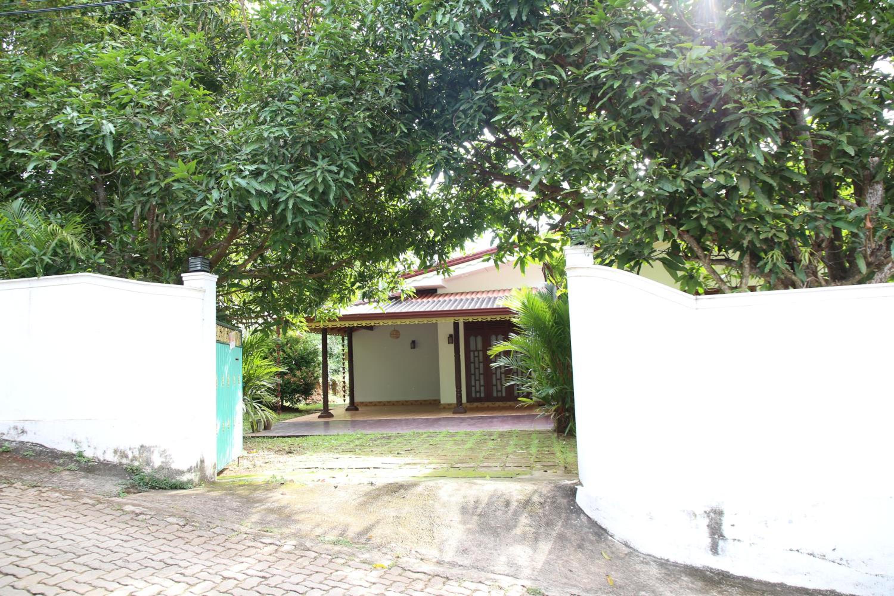 Shady Homestay