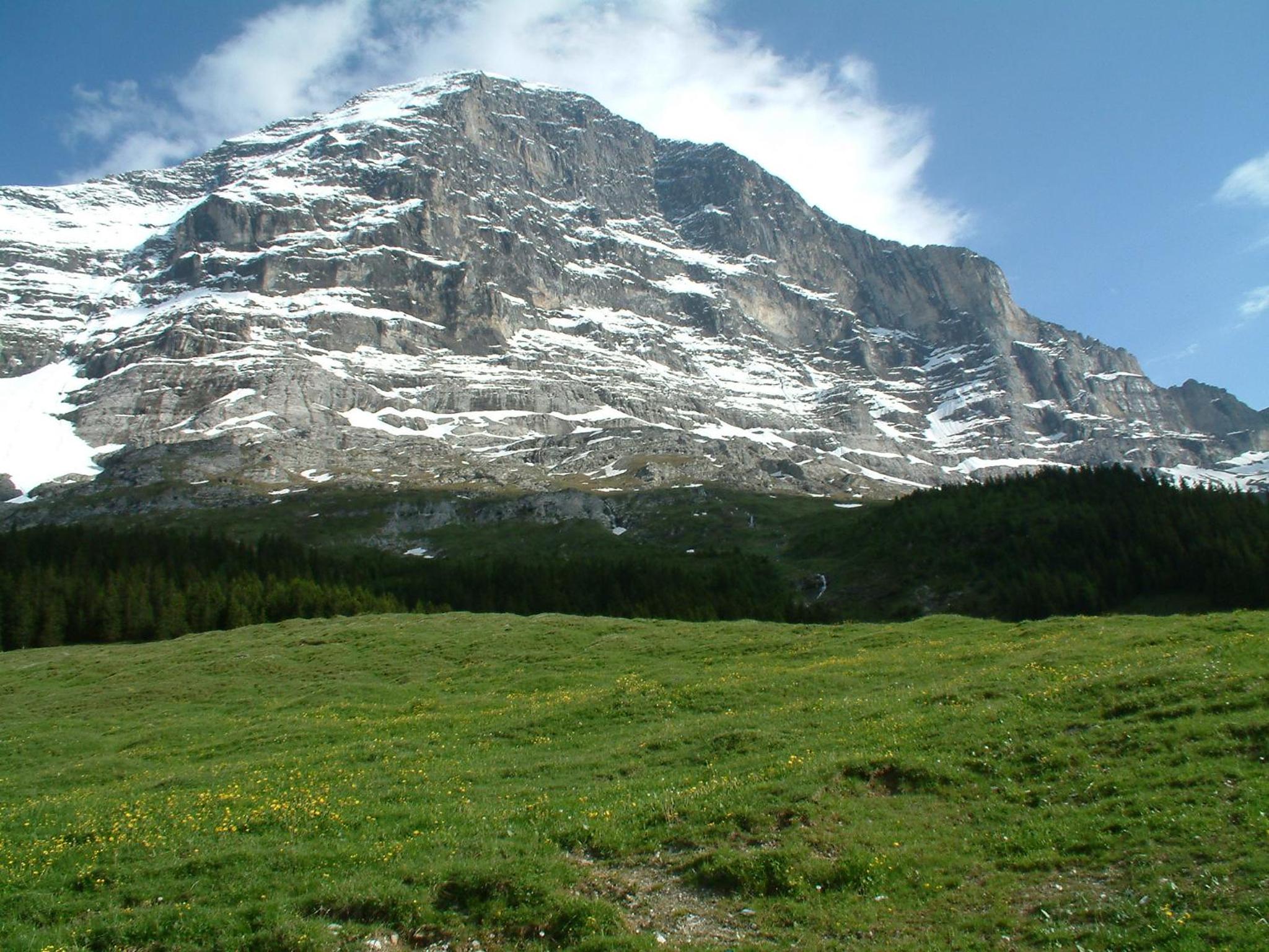 Photo 24