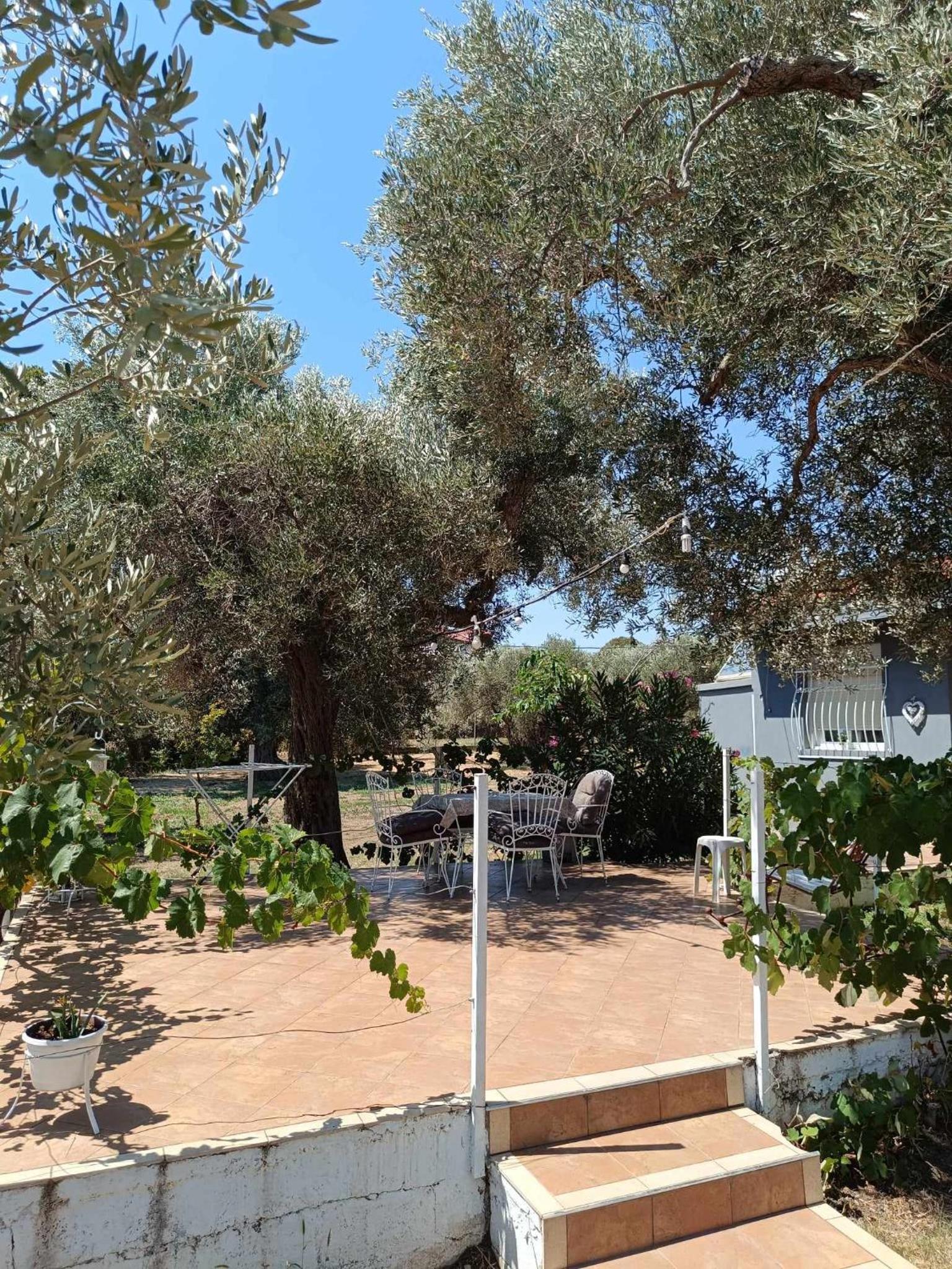 Villa Eleonas