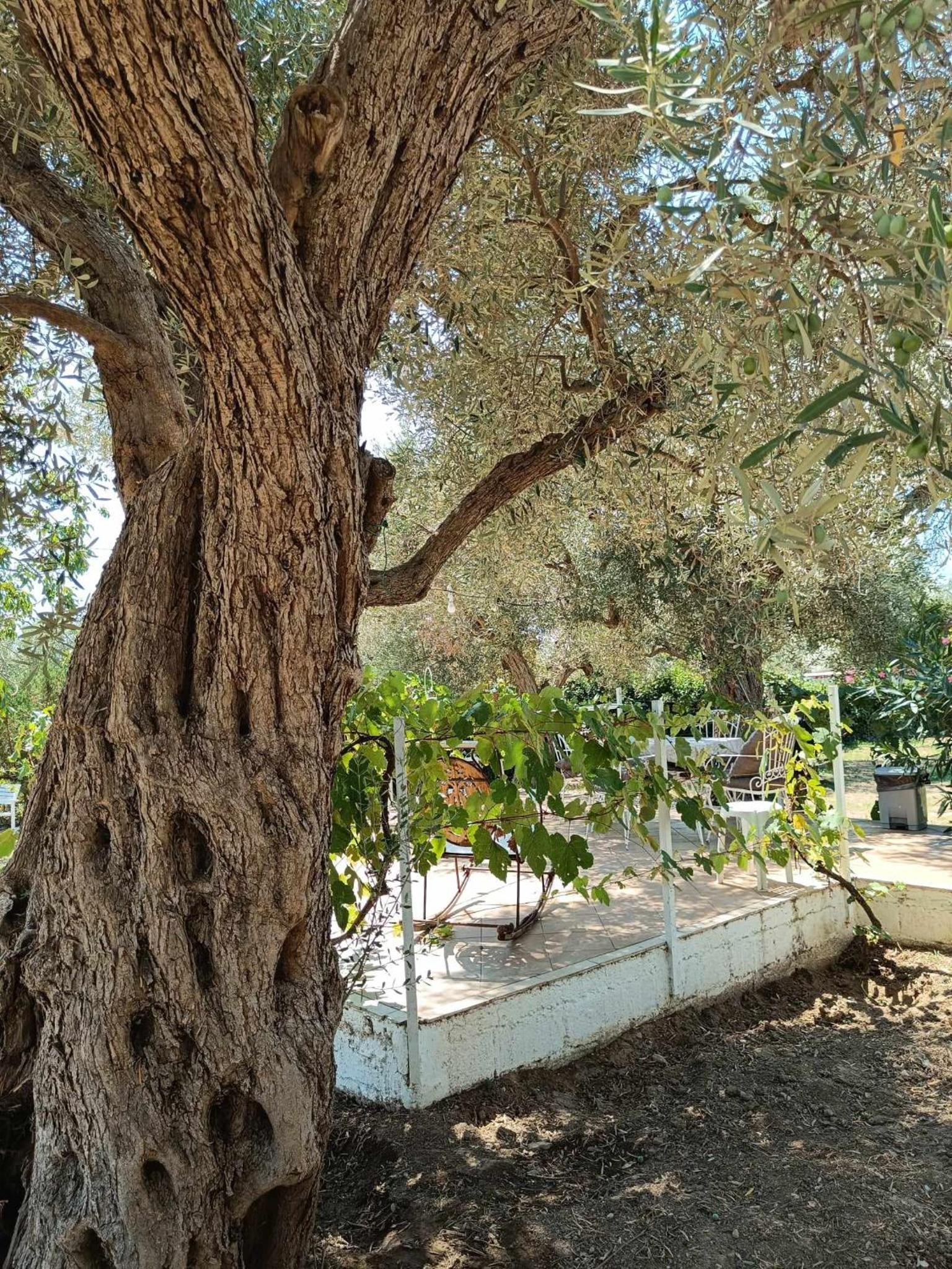 Villa Eleonas